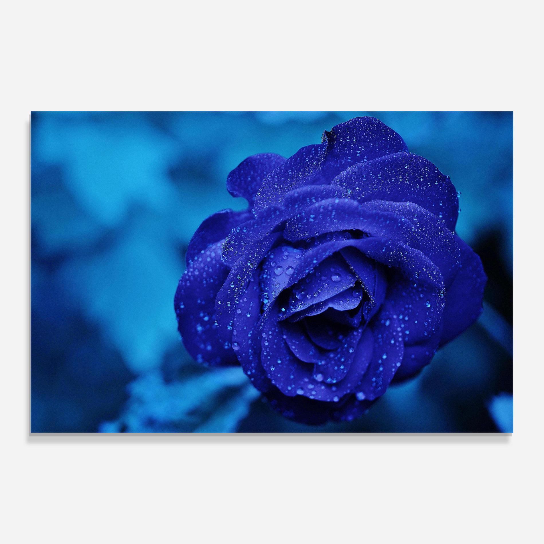 Стъклена картина Blue Water Rose mockup 0