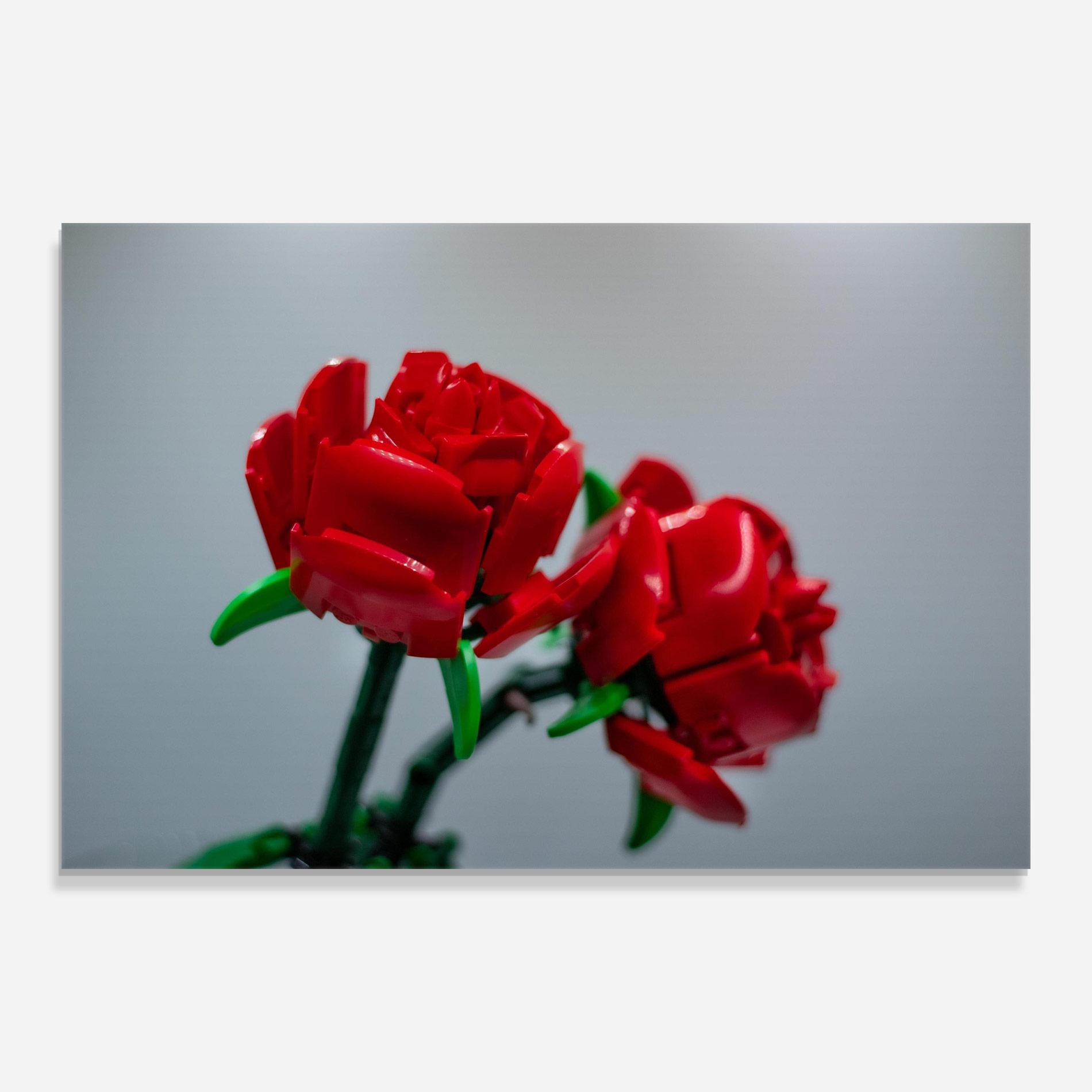 Стъклена картина Lego Red Roses mockup 0