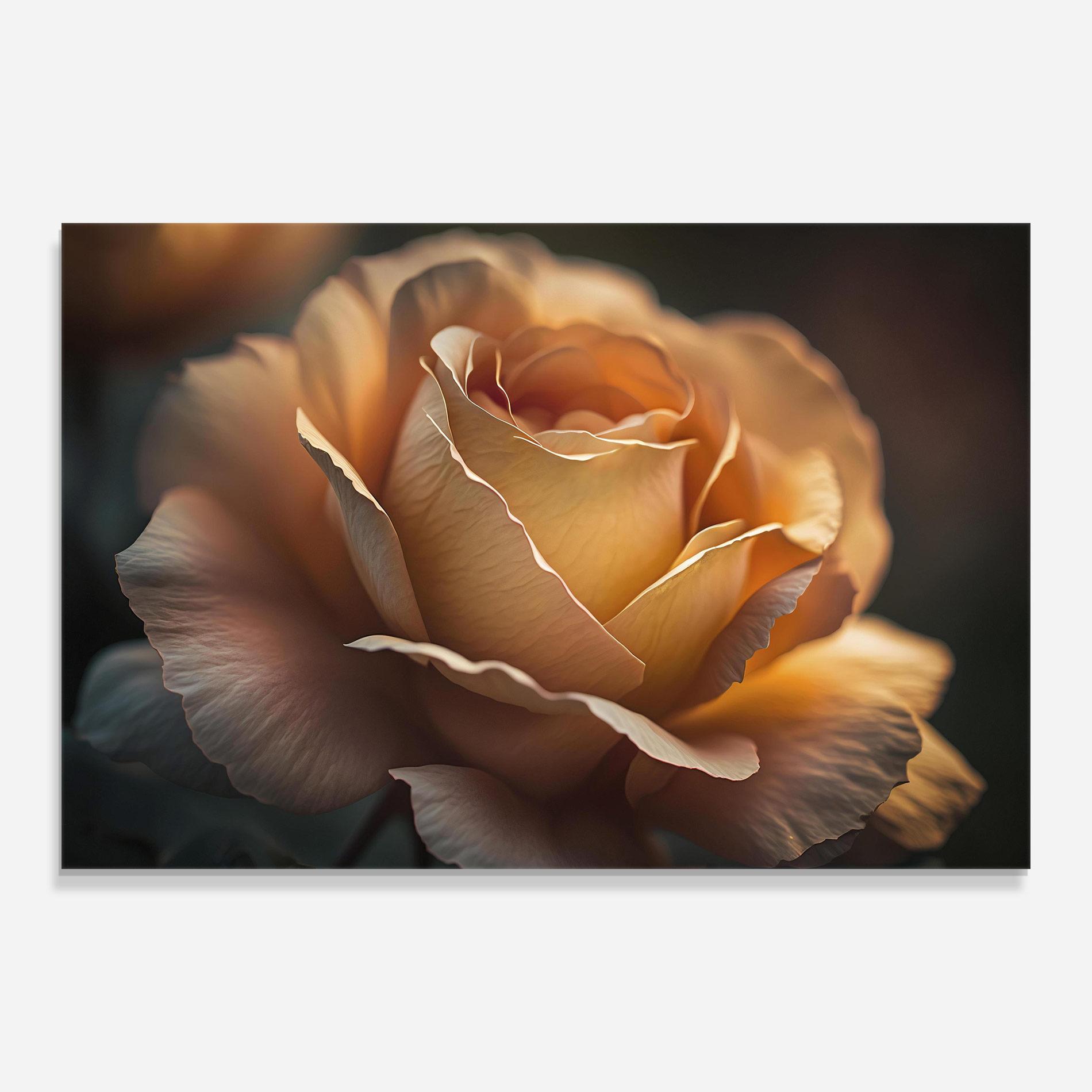 Стъклена картина Light Orange Rose Close Up mockup 0