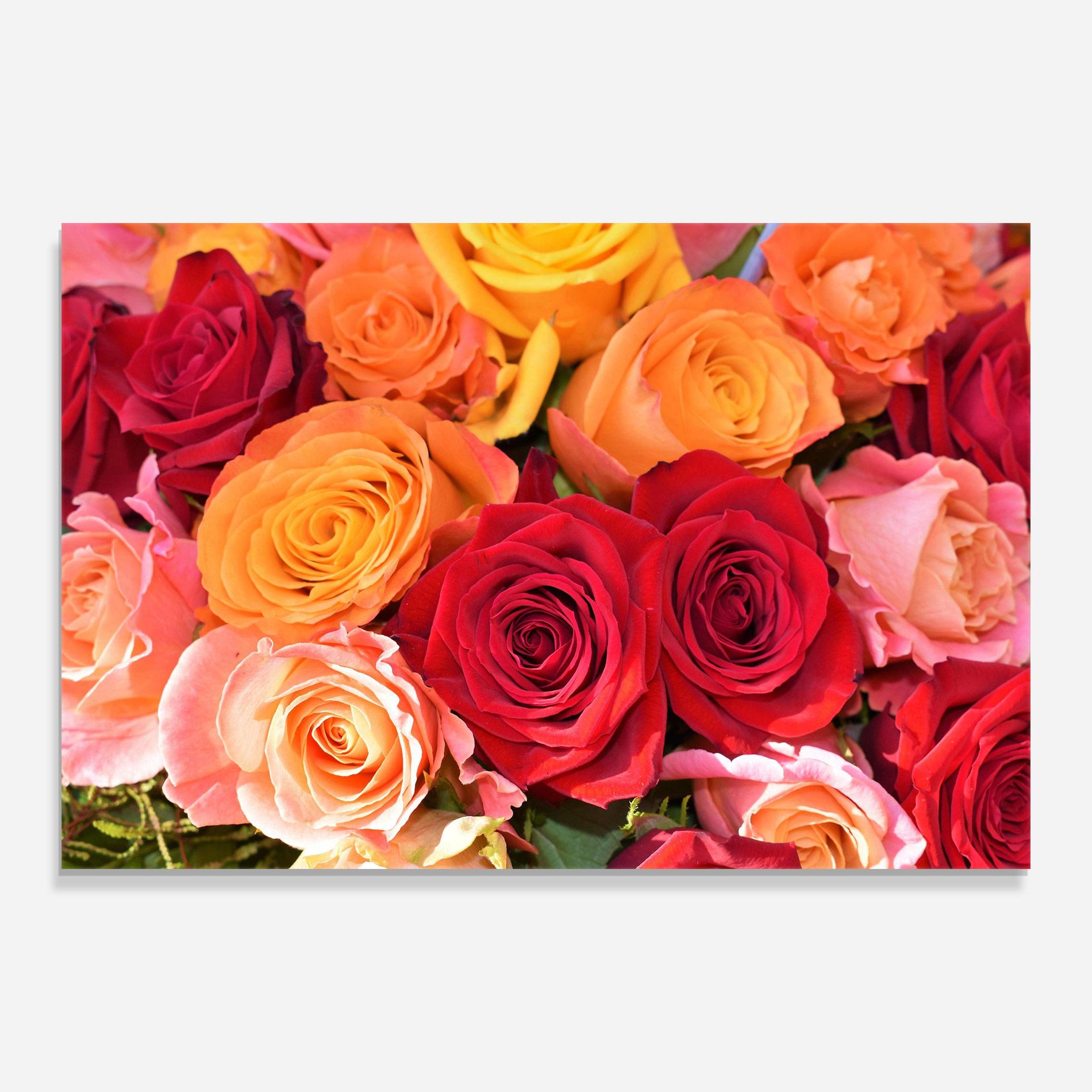 Стъклена картина Mixed Roses mockup 0