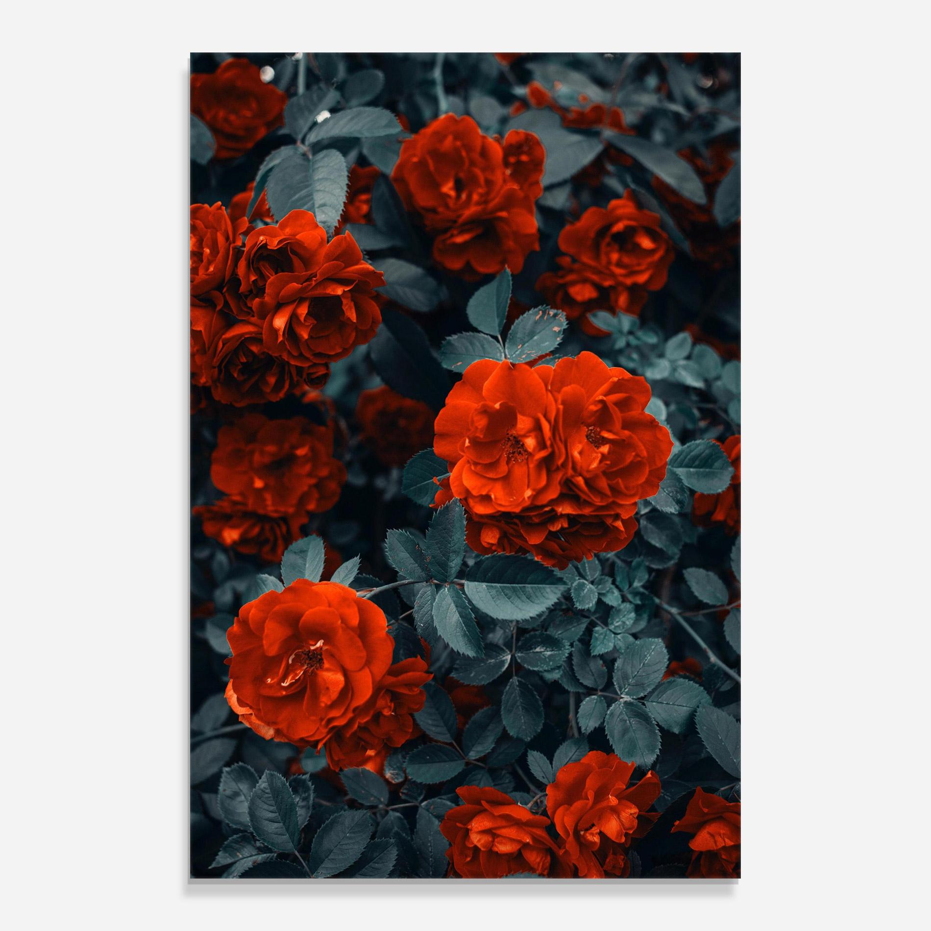Стъклена картина Bright Red Rose mockup 0