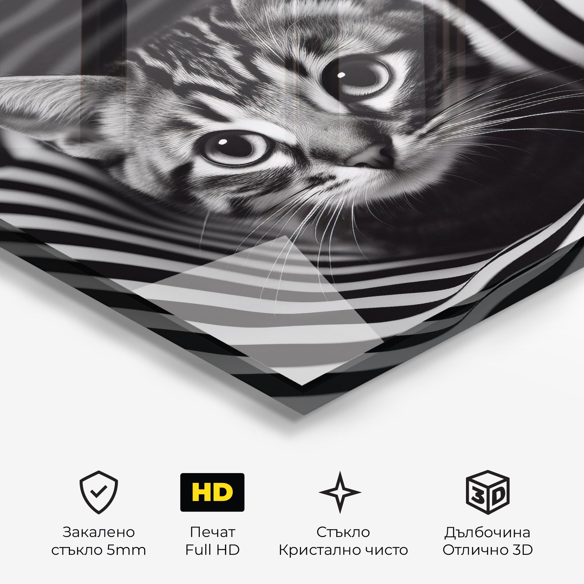 Closeup Cat Portrait mockup 3