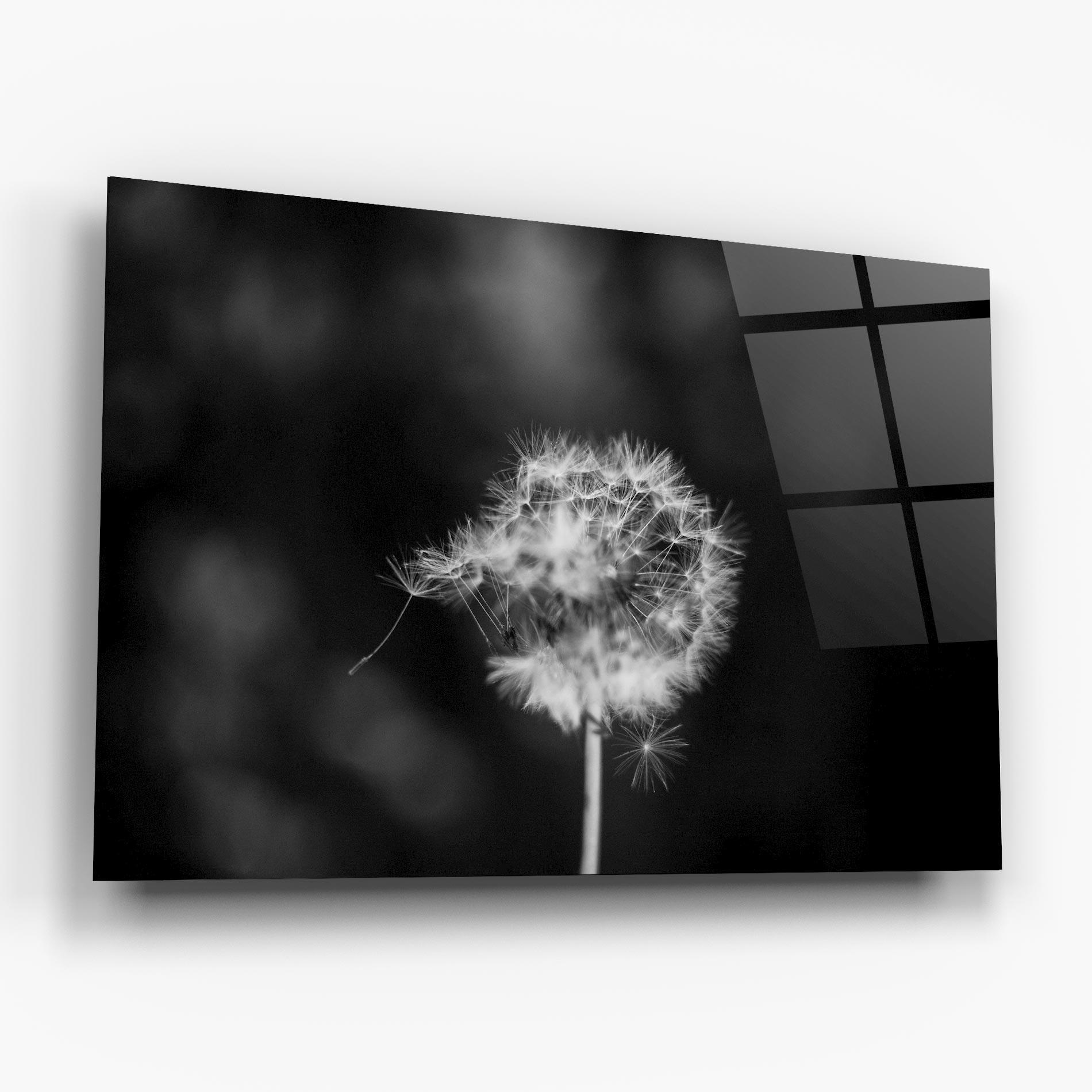Стъклена картина Grey Dandelion mockup 6