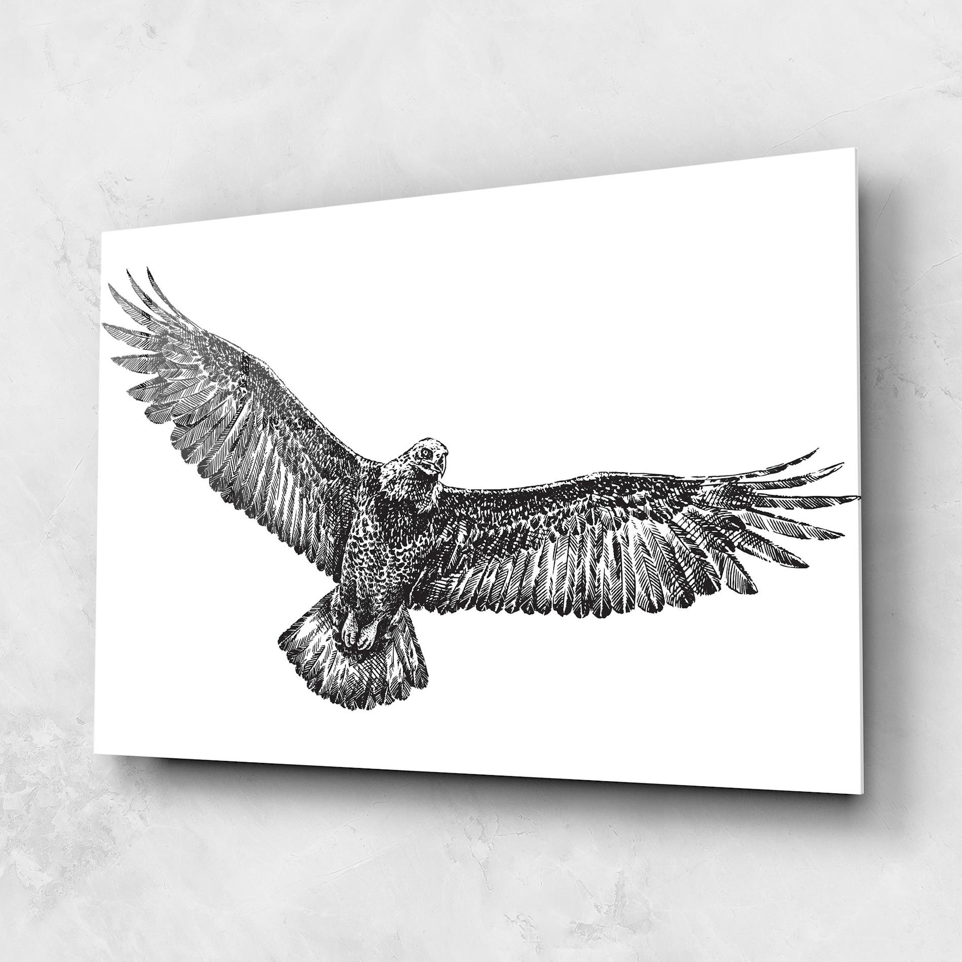 Eagle Art Line mockup 1
