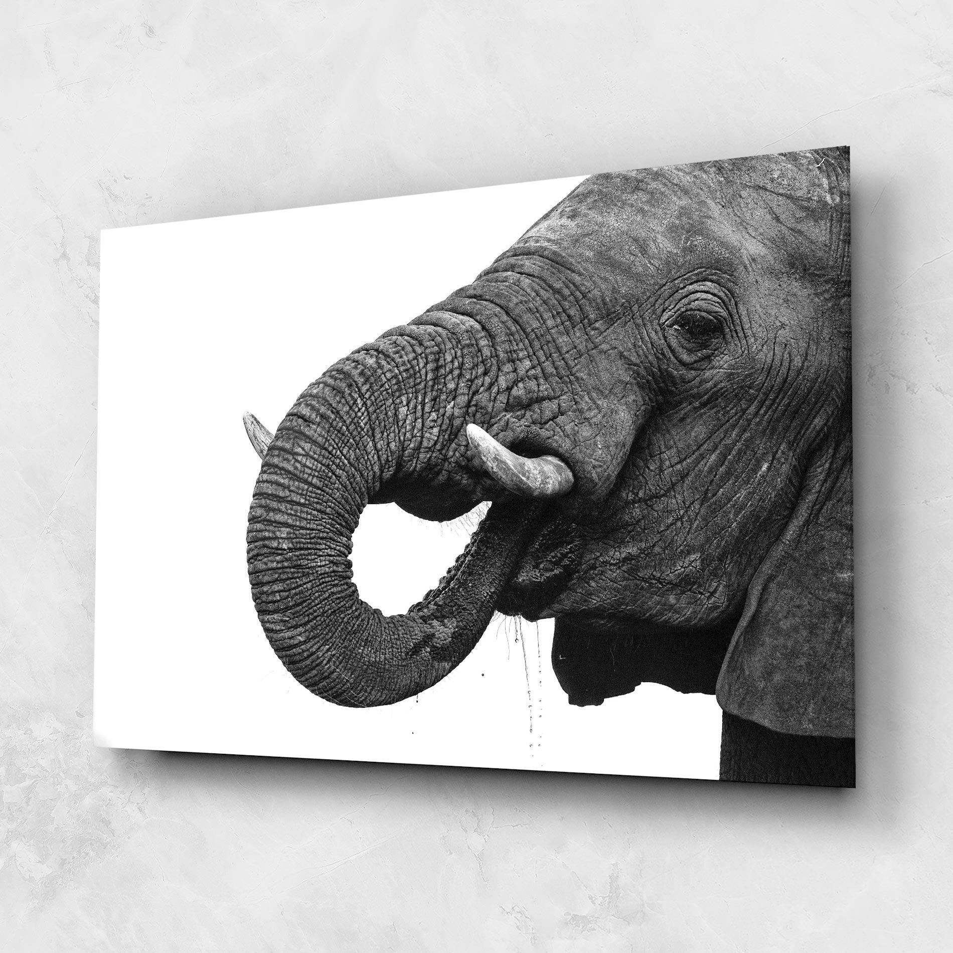 Elephant Drinking mockup 1