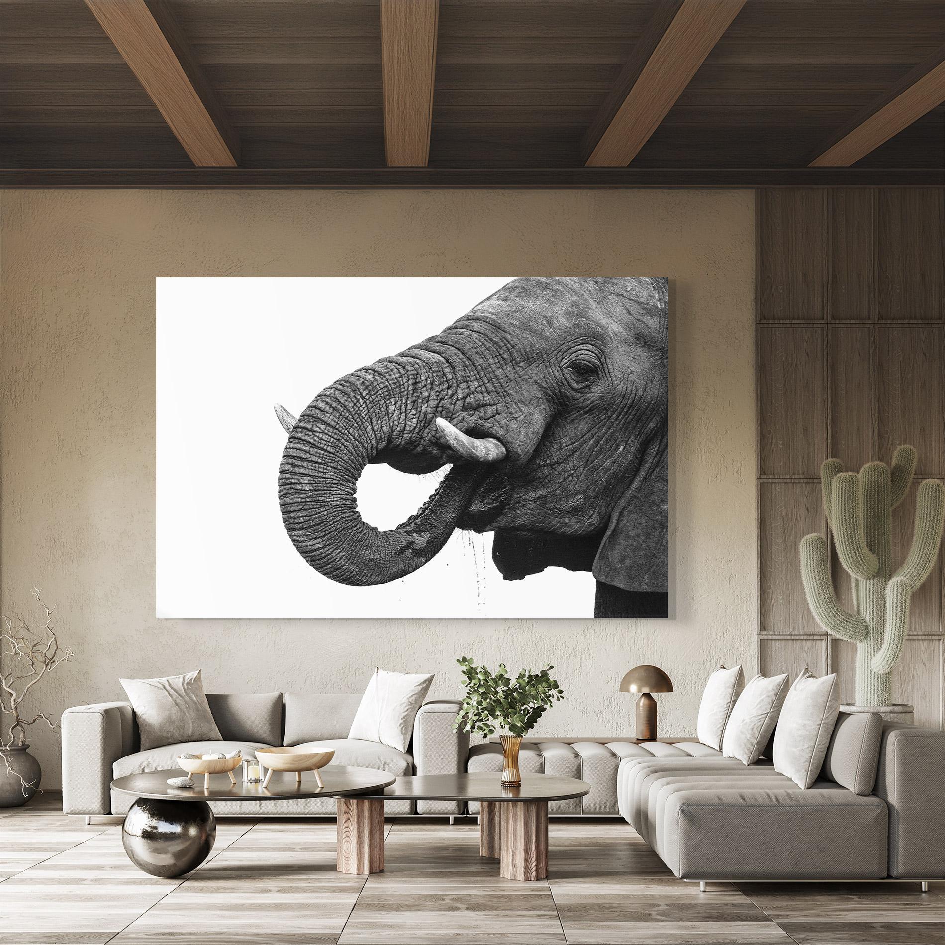 Стъклена картина Elephant Drinking mockup 8