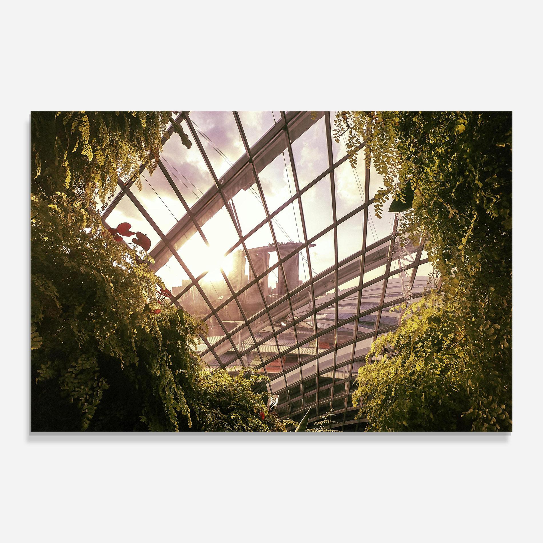 Стъклена картина Cloud Forest mockup 0