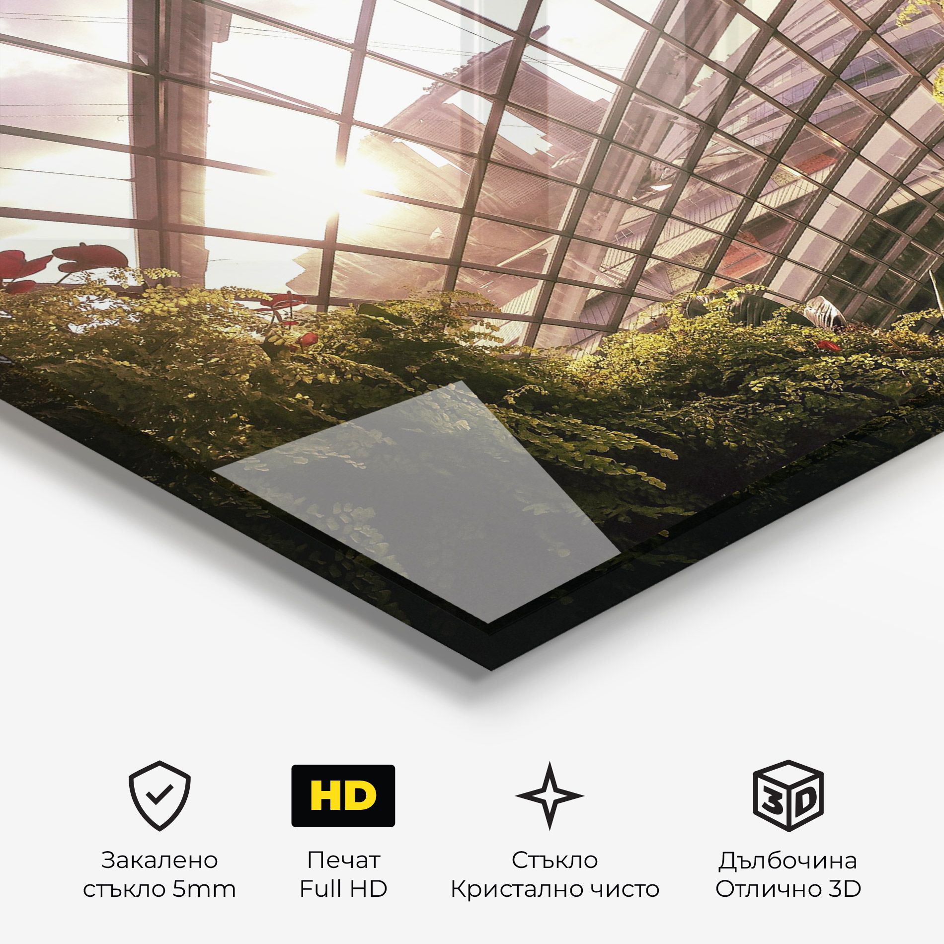 Cloud Forest mockup 3