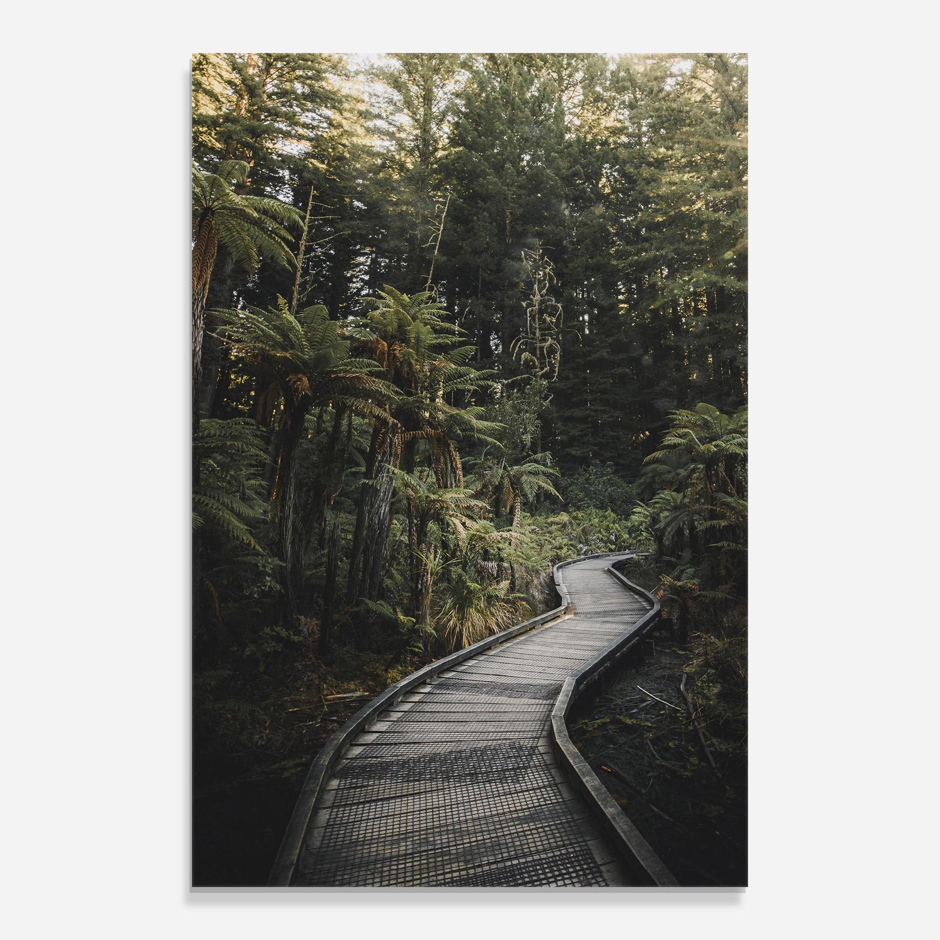 Стъклена картина Forest Path View mockup 0