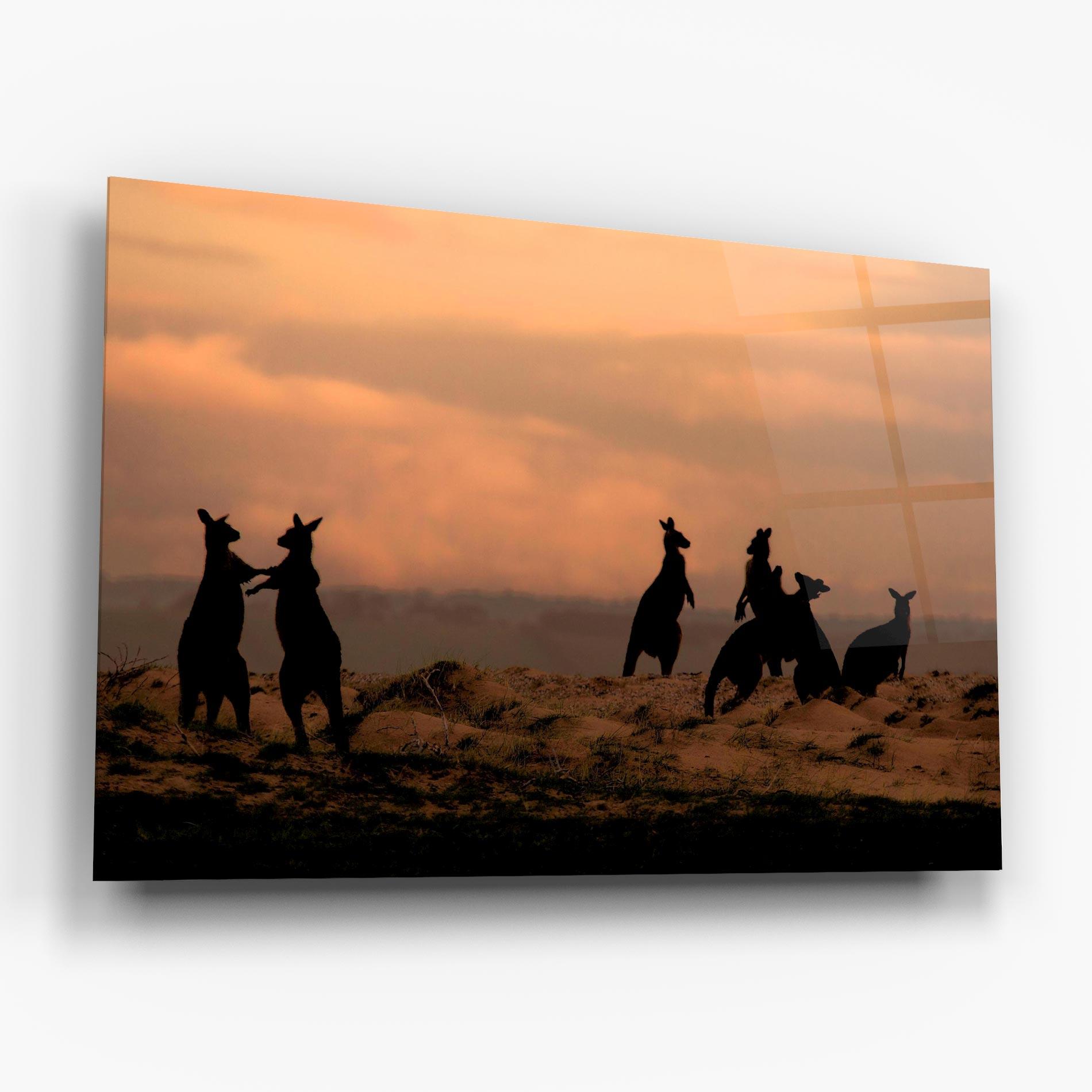 Стъклена картина Kangaroos Playing mockup 6