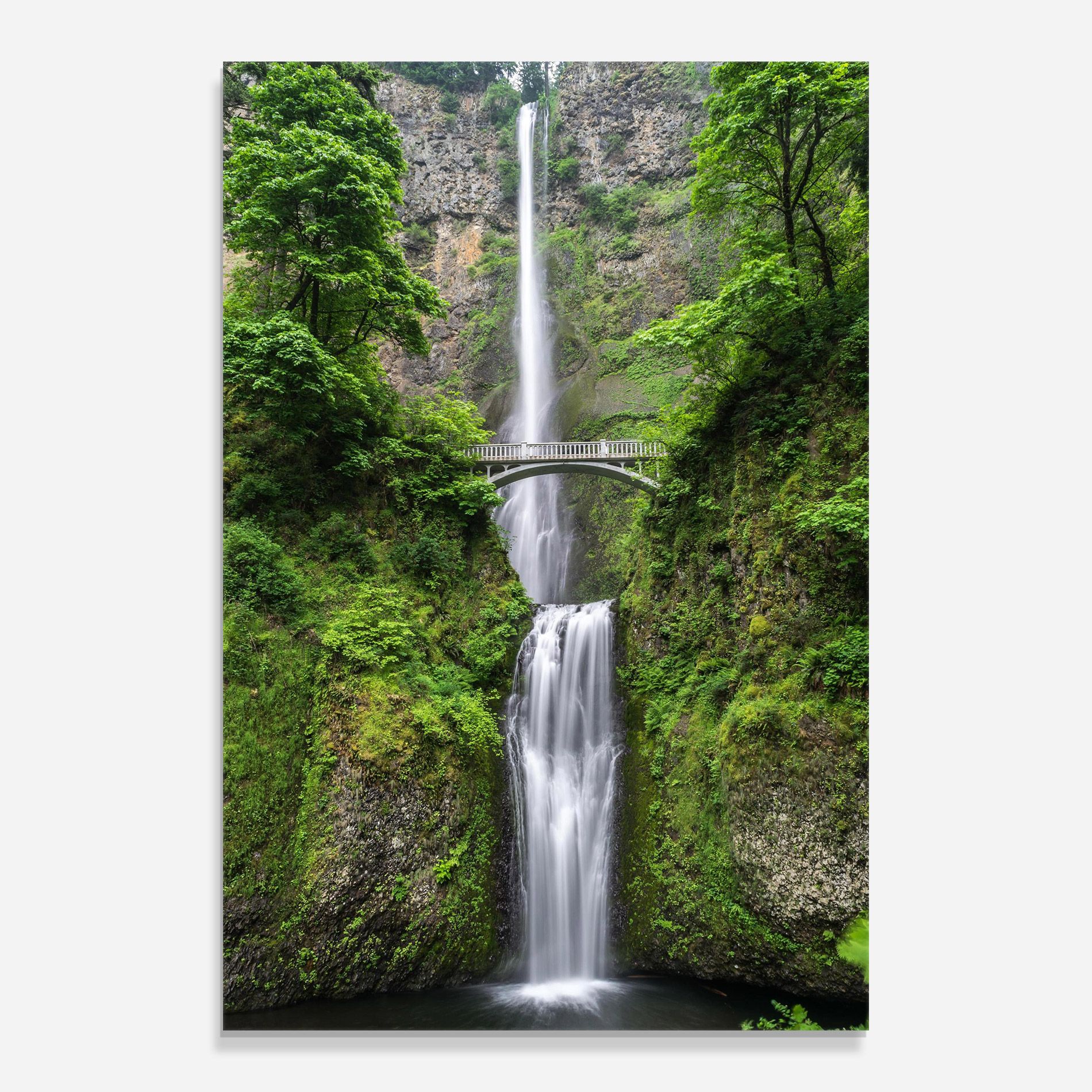 Green Leaves Bridge View mockup 0