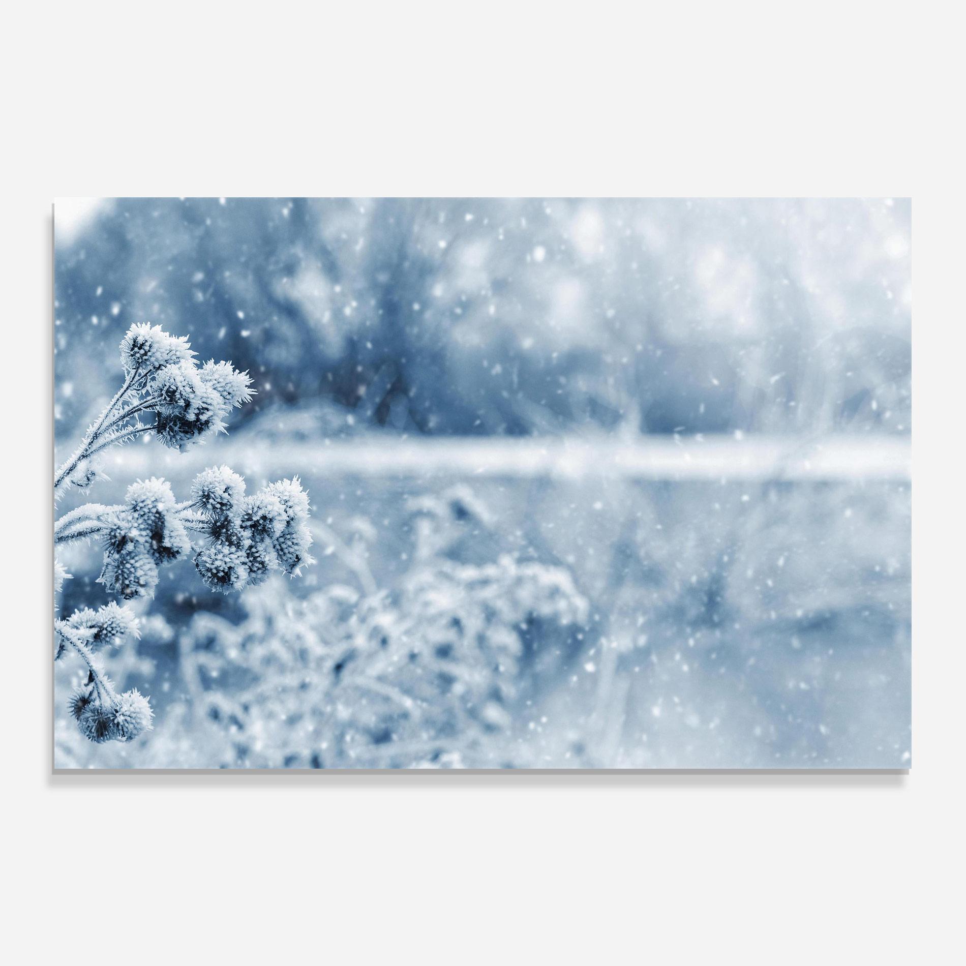 Стъклена картина Pretty Winter Plants mockup 0