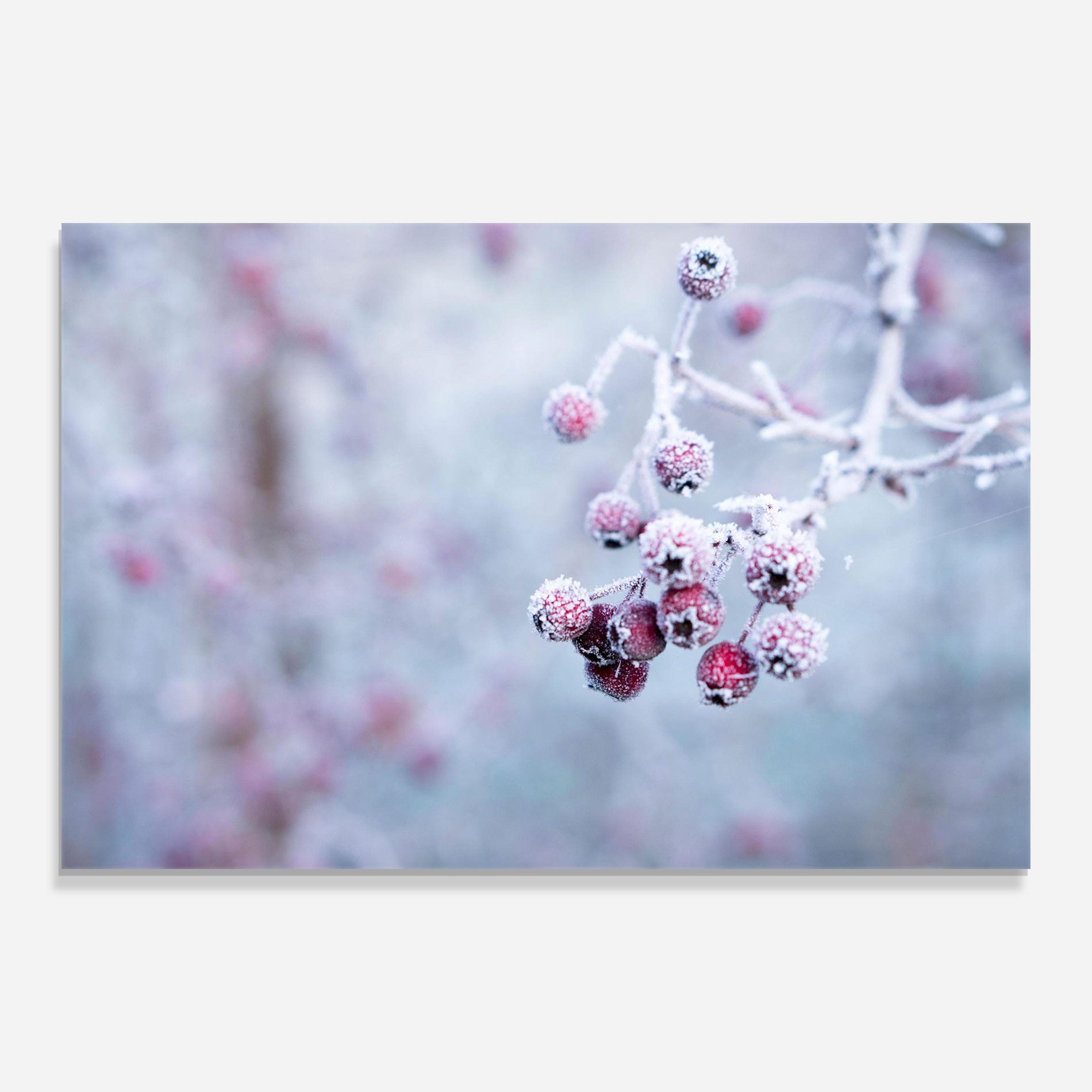 Red Winter Fruits mockup 0