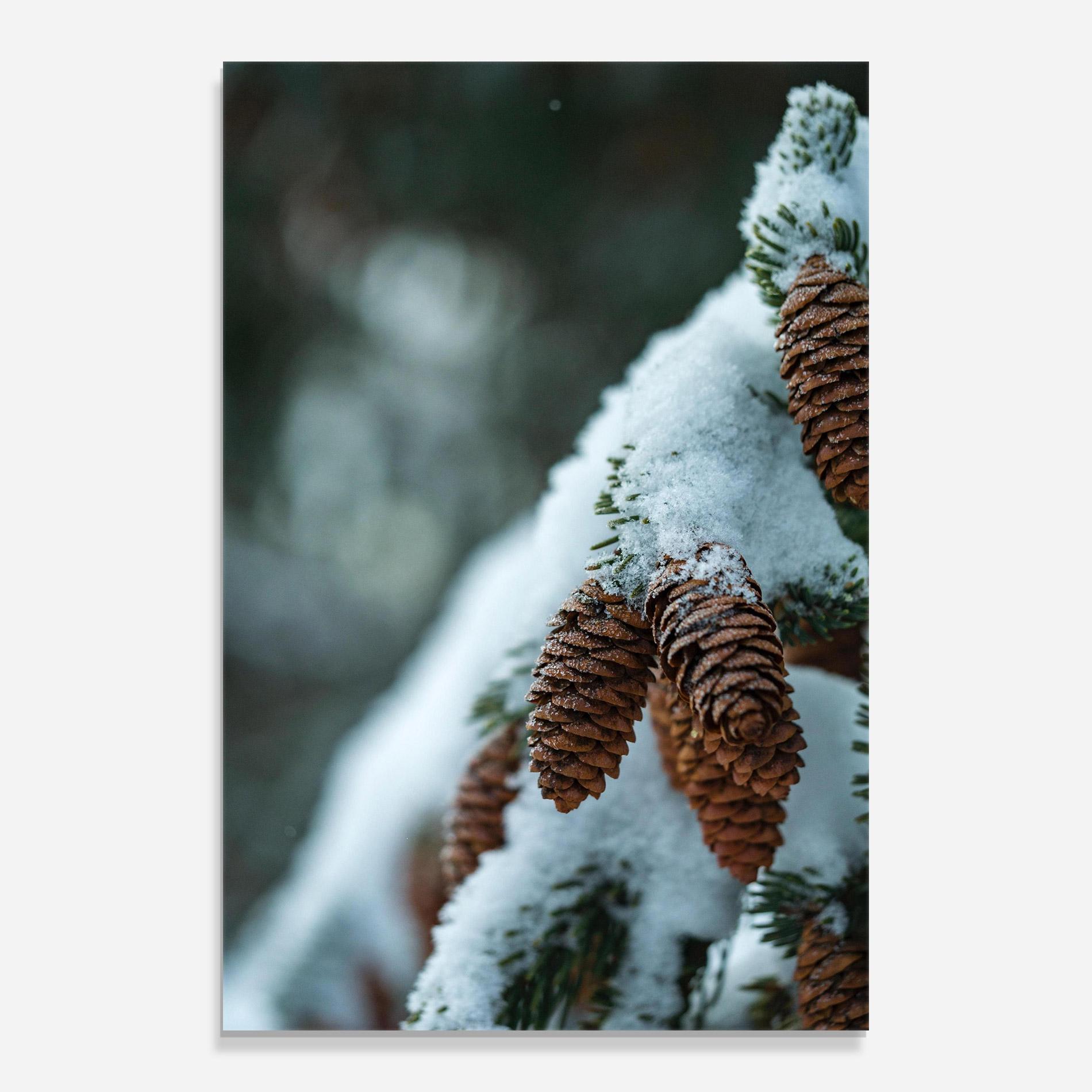 Стъклена картина Pretty Snow Cones mockup 0