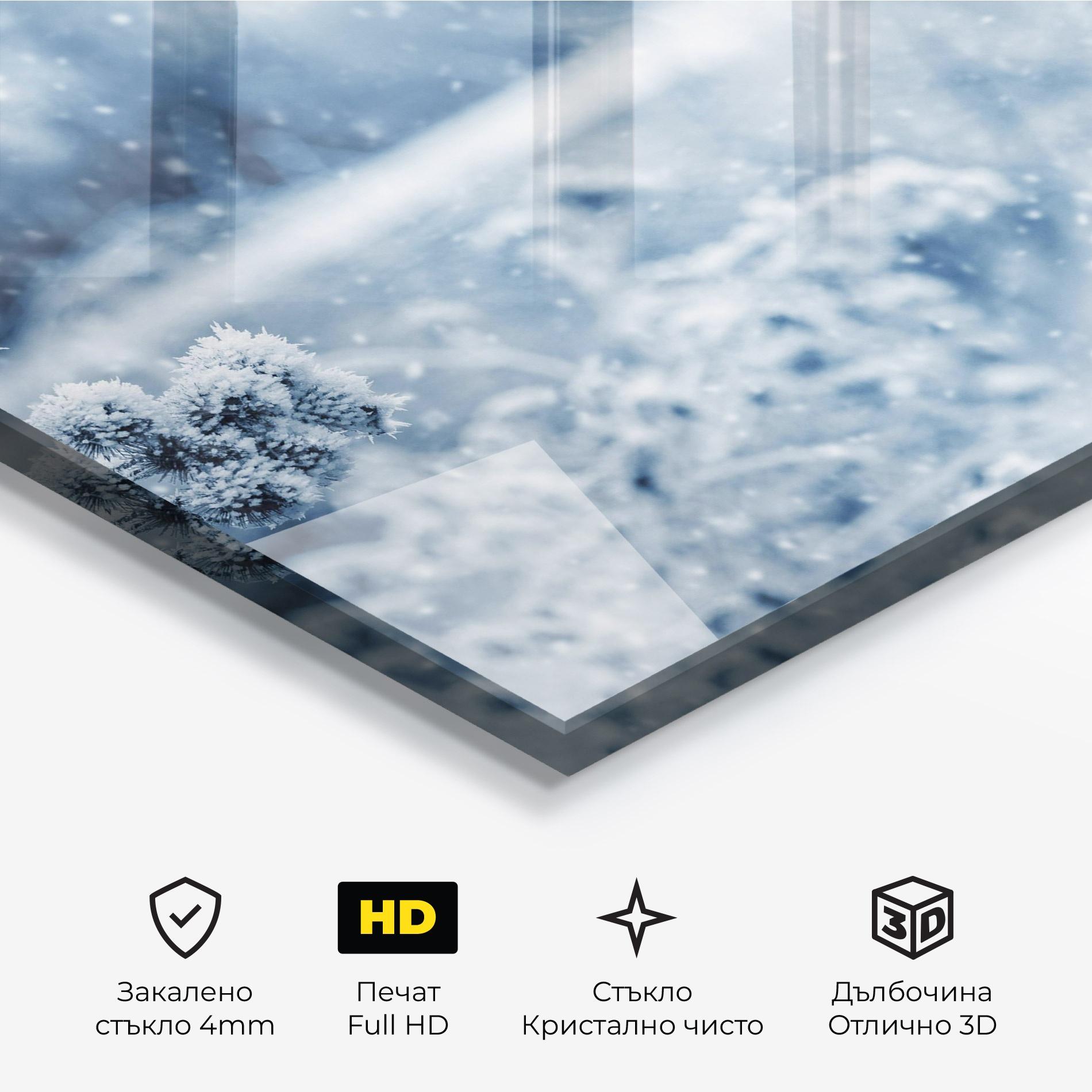 Стъклена картина Pretty Winter Plants mockup 3