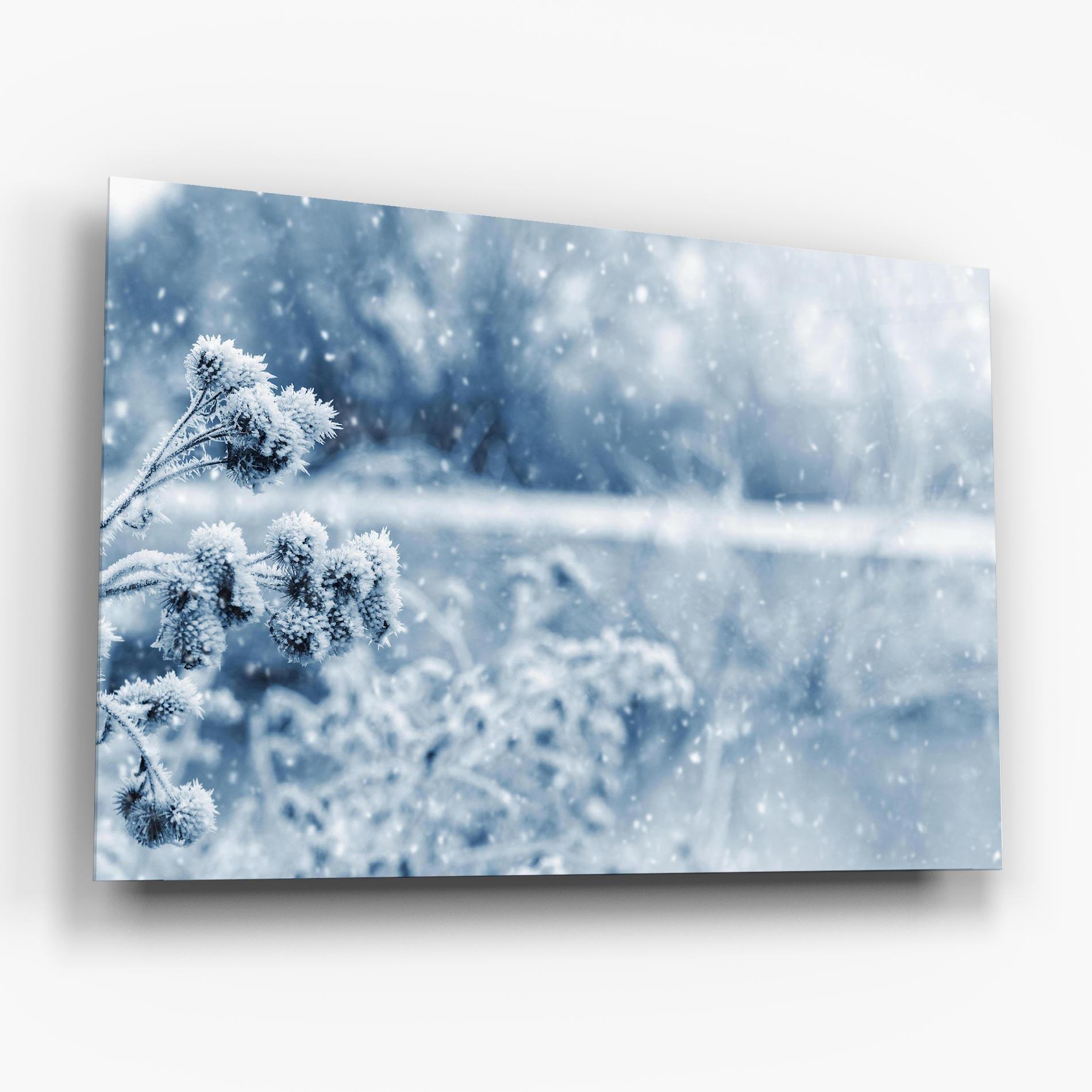 Стъклена картина Pretty Winter Plants mockup 6