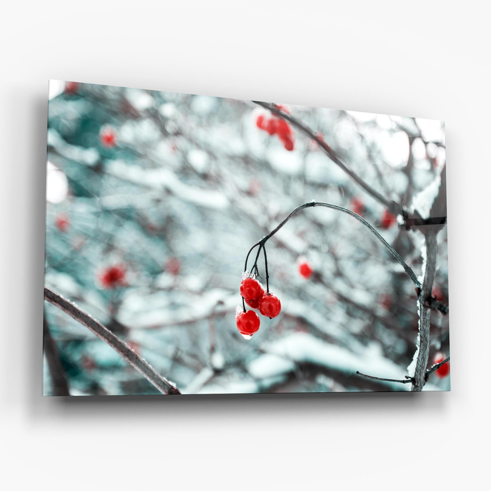 Snow Red Fruits mockup 6