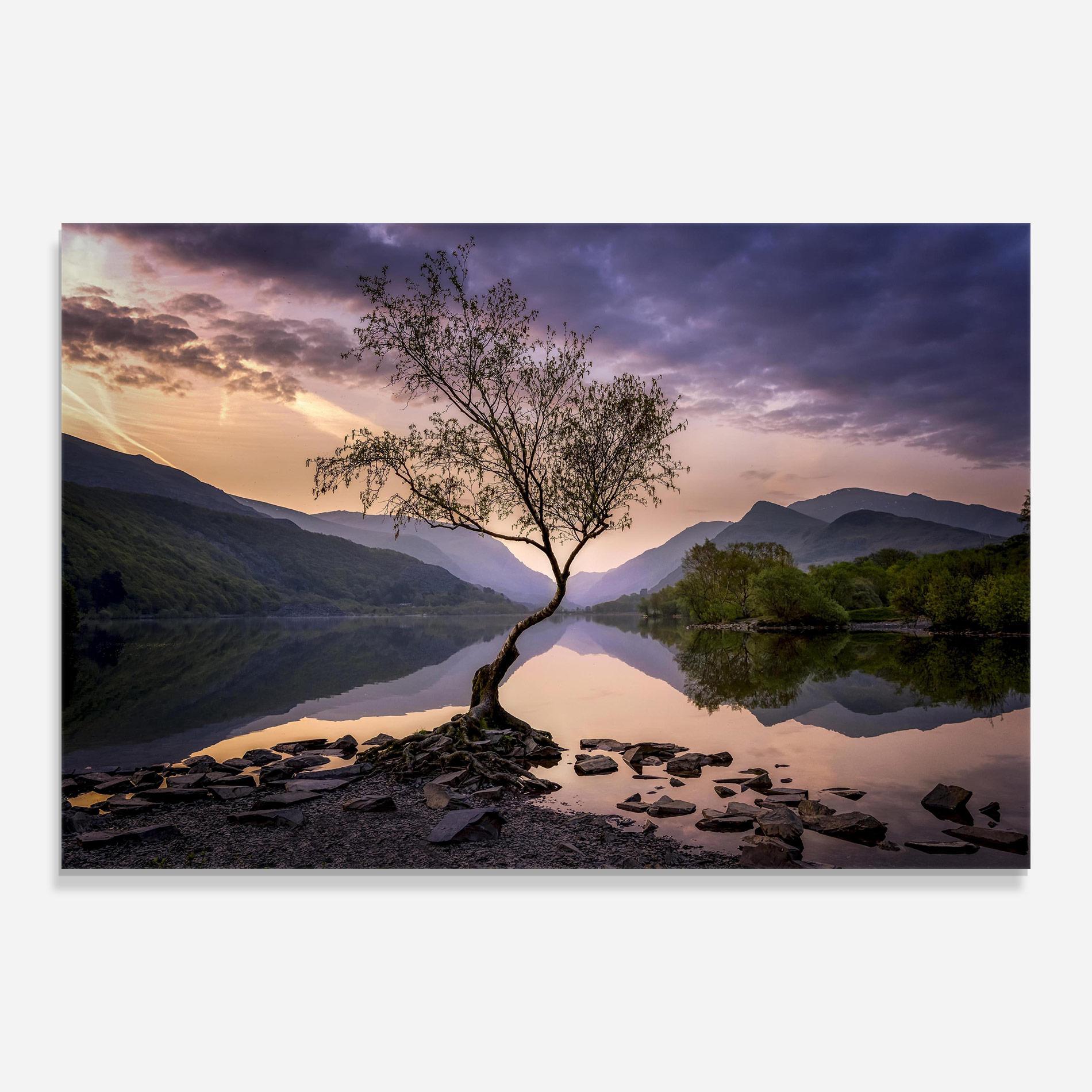 Стъклена картина Lone Tree mockup 0