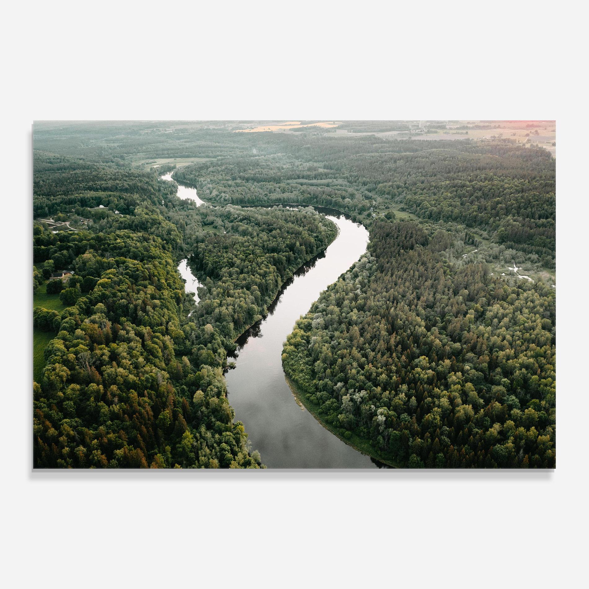 Стъклена картина Forest Big River mockup 0