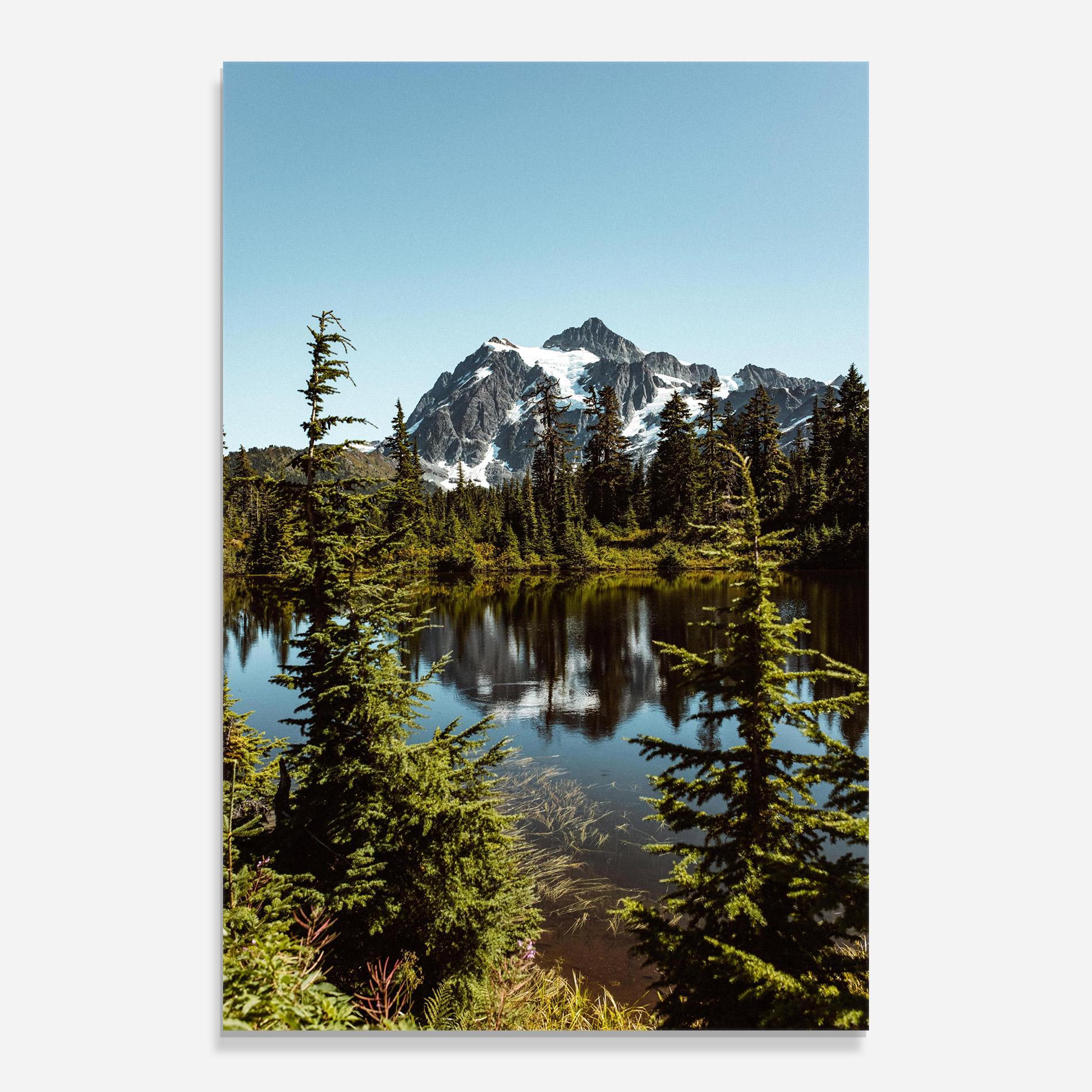 Стъклена картина Forest Snow Mountain mockup 0