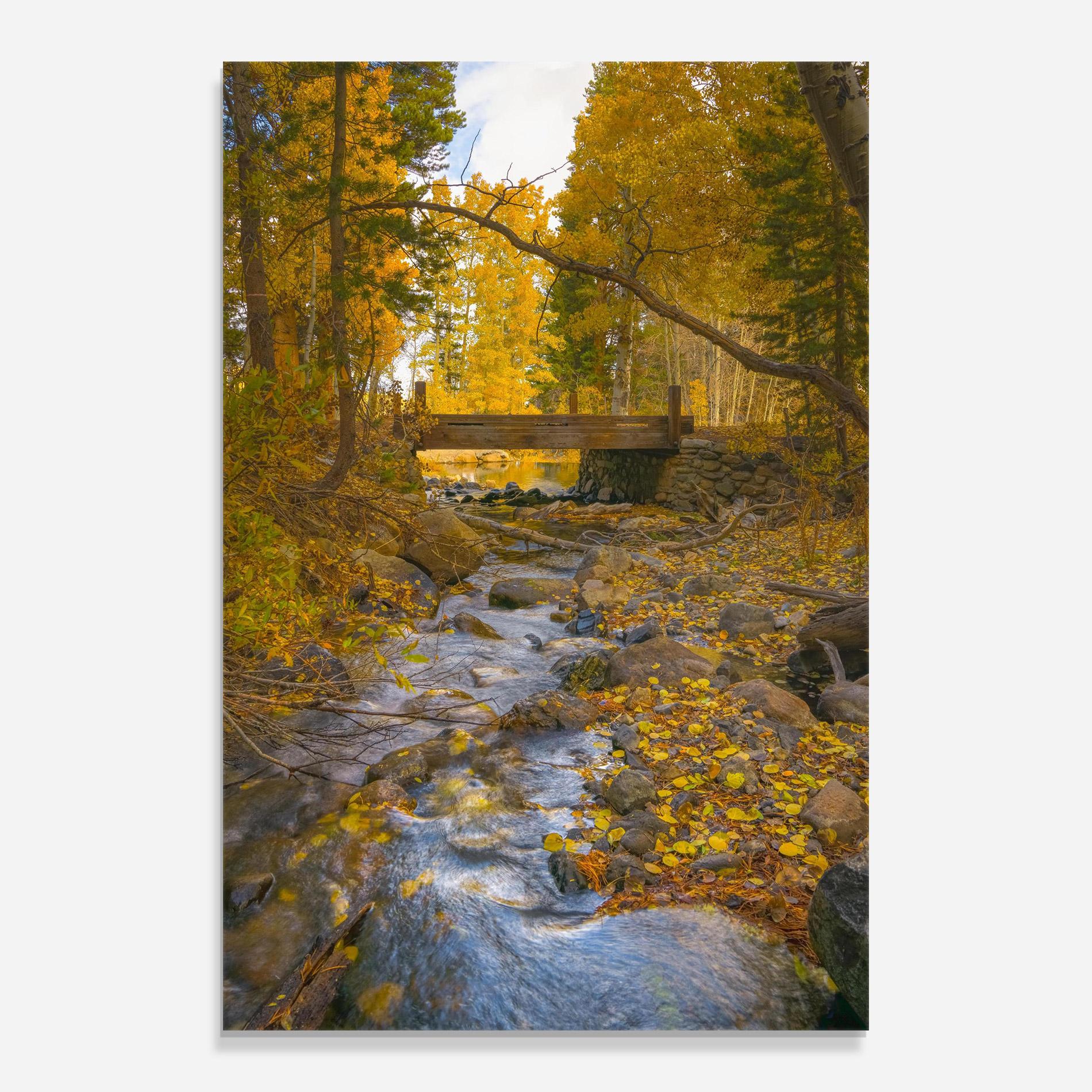 Стъклена картина Yellow View Forest mockup 0