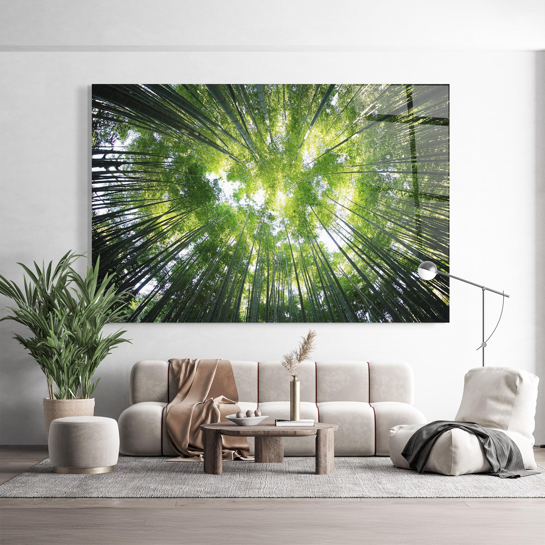 Стъклена картина Big Trees Morning mockup 9