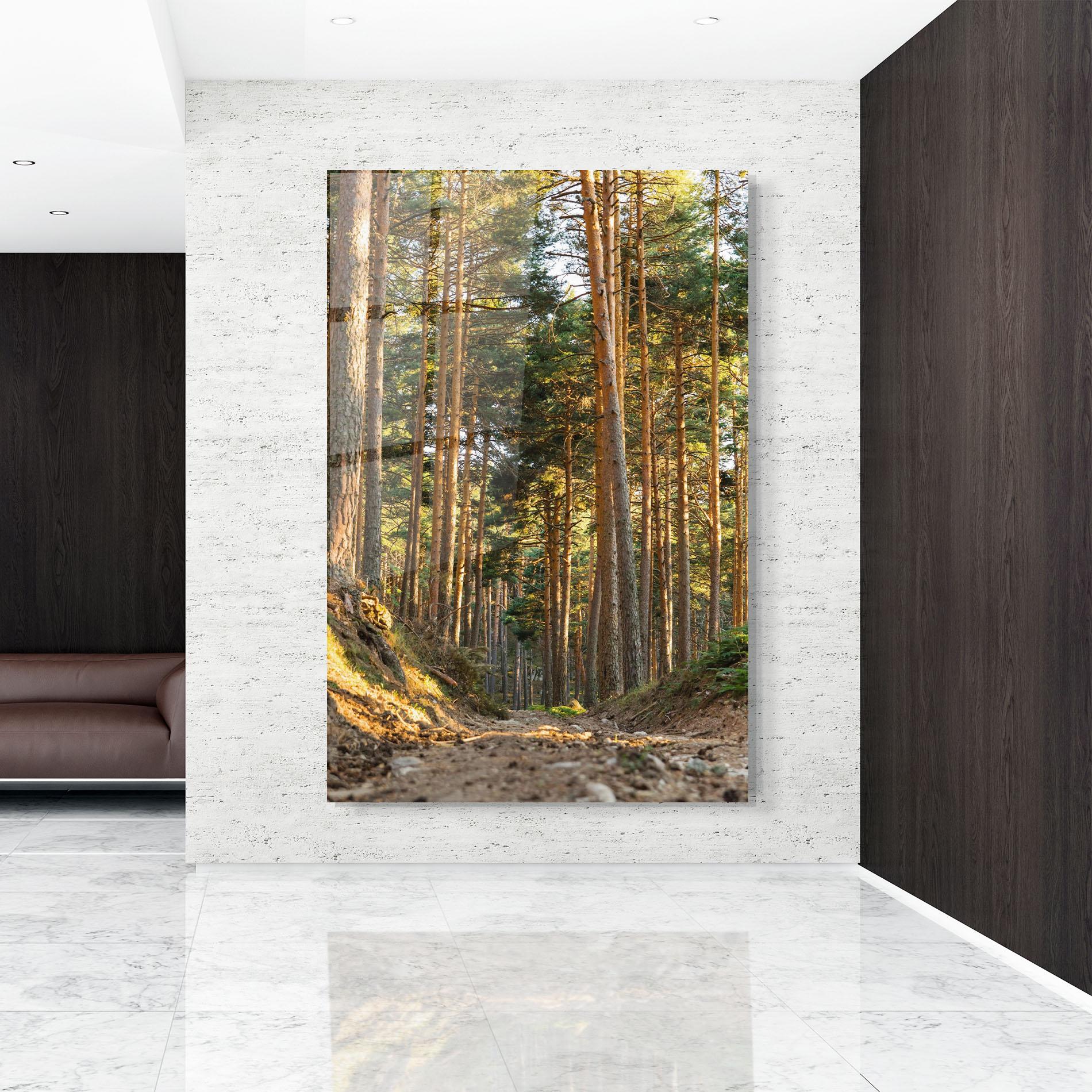 Стъклена картина Big Trees Forest mockup 9