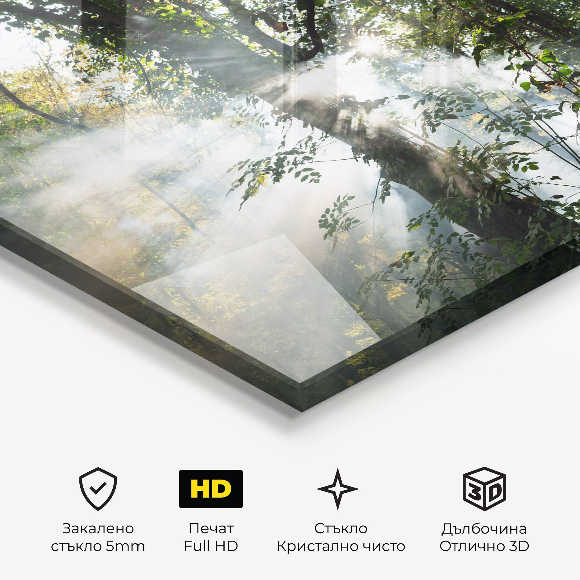 Foggy Light Forest mockup 3