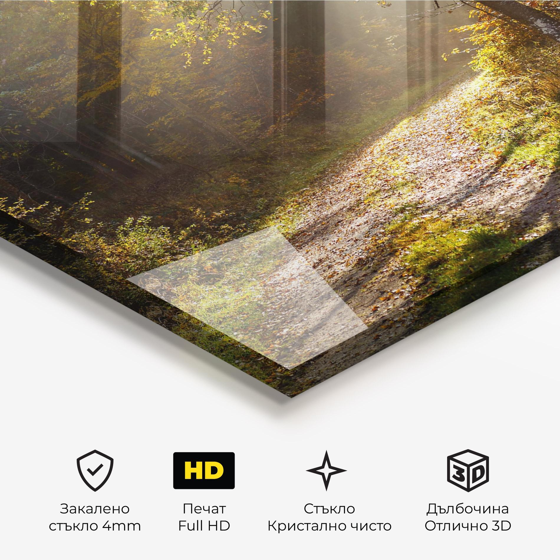 Стъклена картина Autumn Trees Sun mockup 3