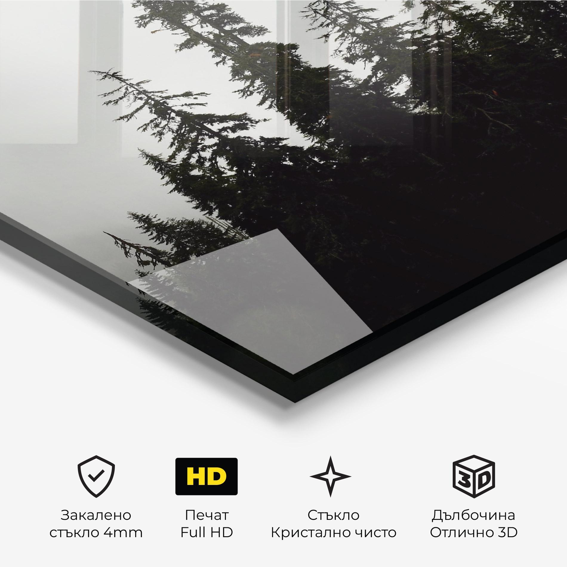 Стъклена картина Black Tree Forest mockup 3