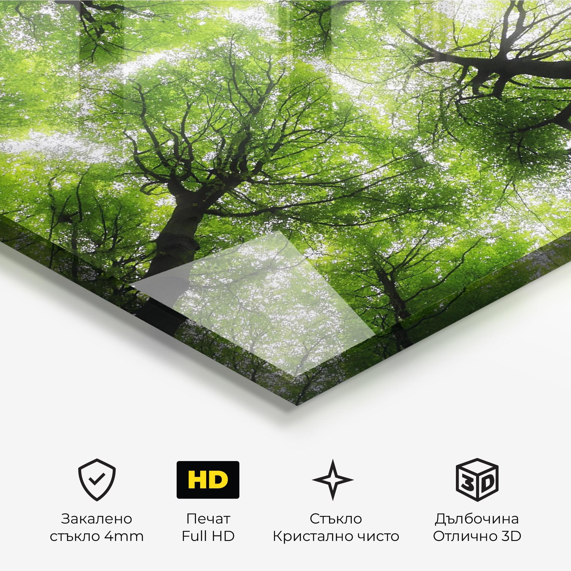Стъклена картина Forest Green Tree mockup 3