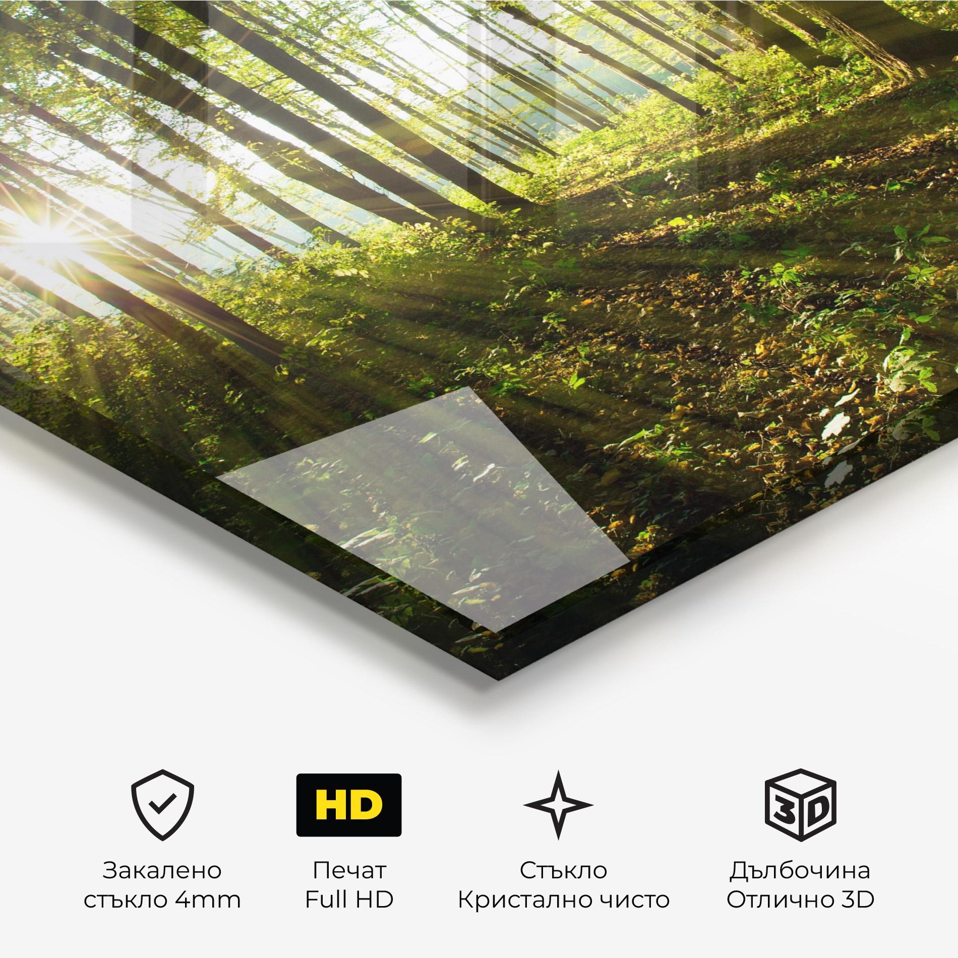 Стъклена картина Green Light Forest mockup 3