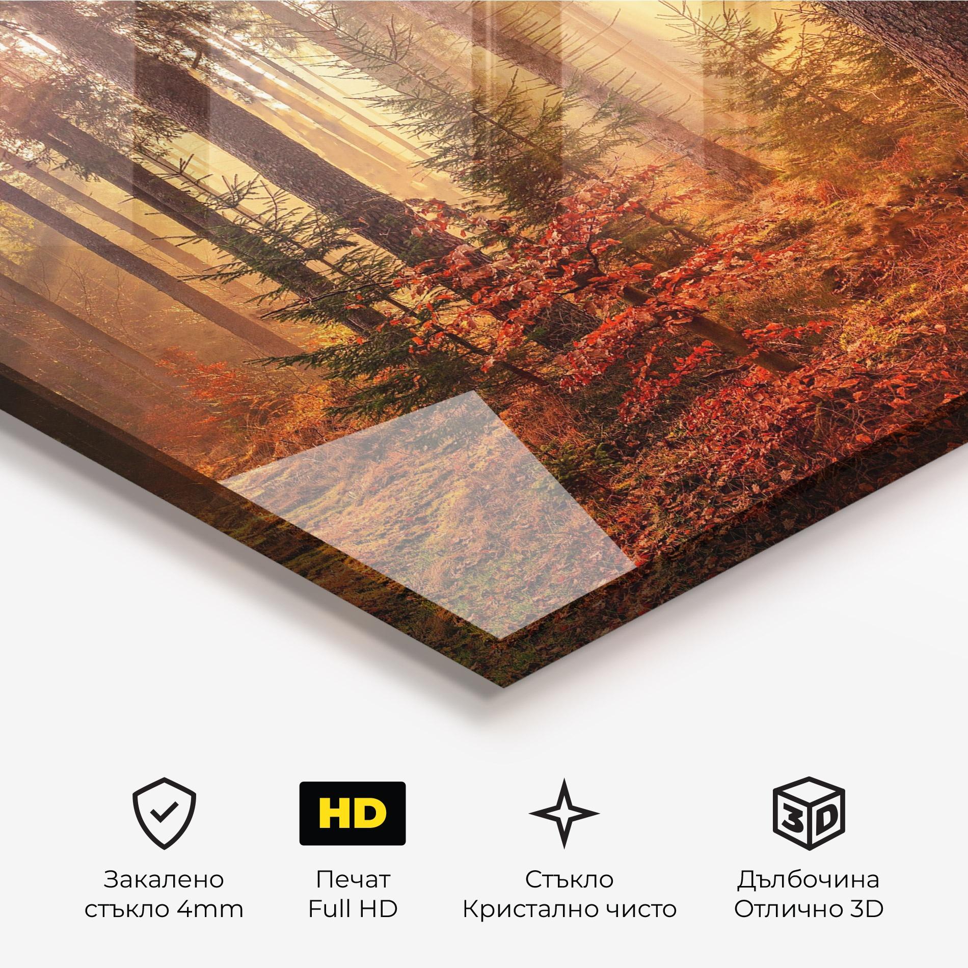 Стъклена картина Orange Light Forest mockup 3