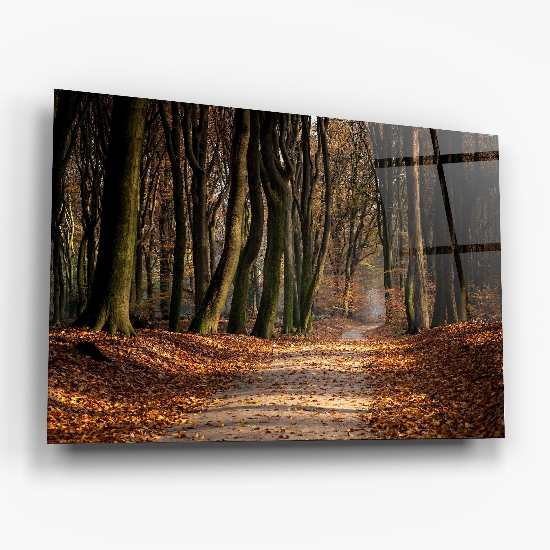 Стъклена картина Autumn Path Forest mockup 6