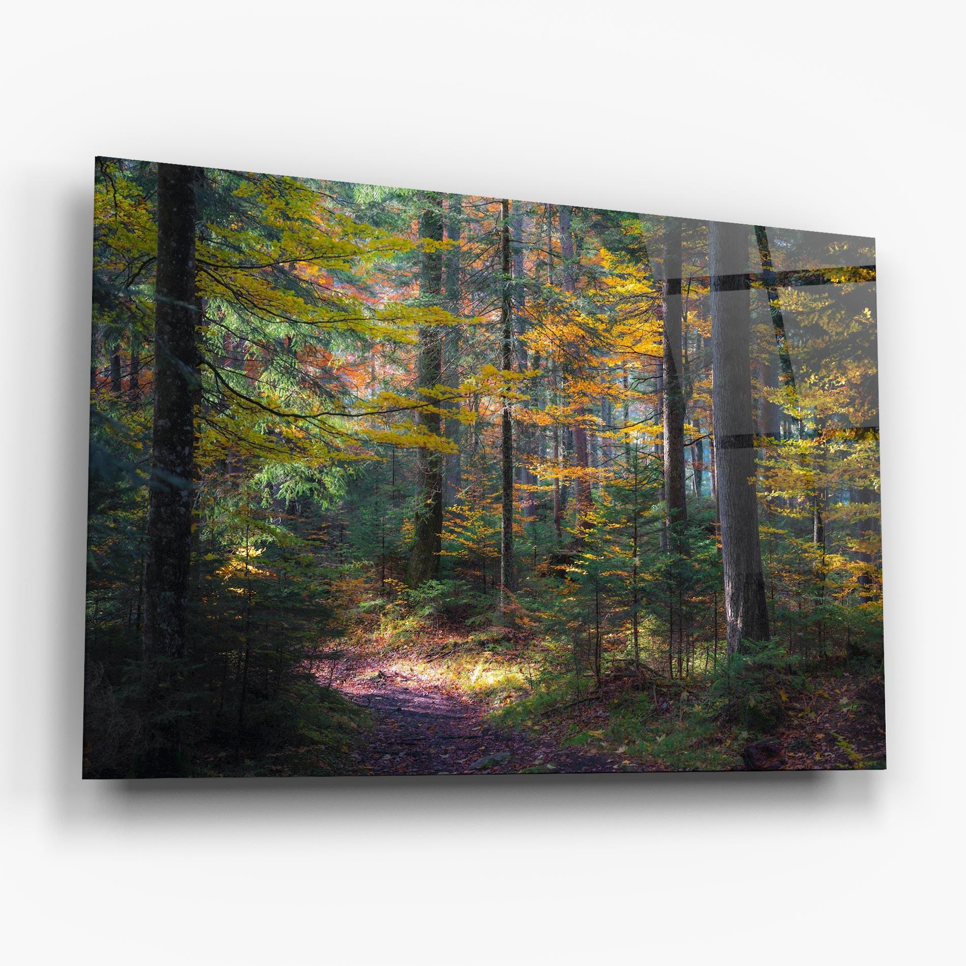 Стъклена картина Dreamy Path Dorest mockup 6