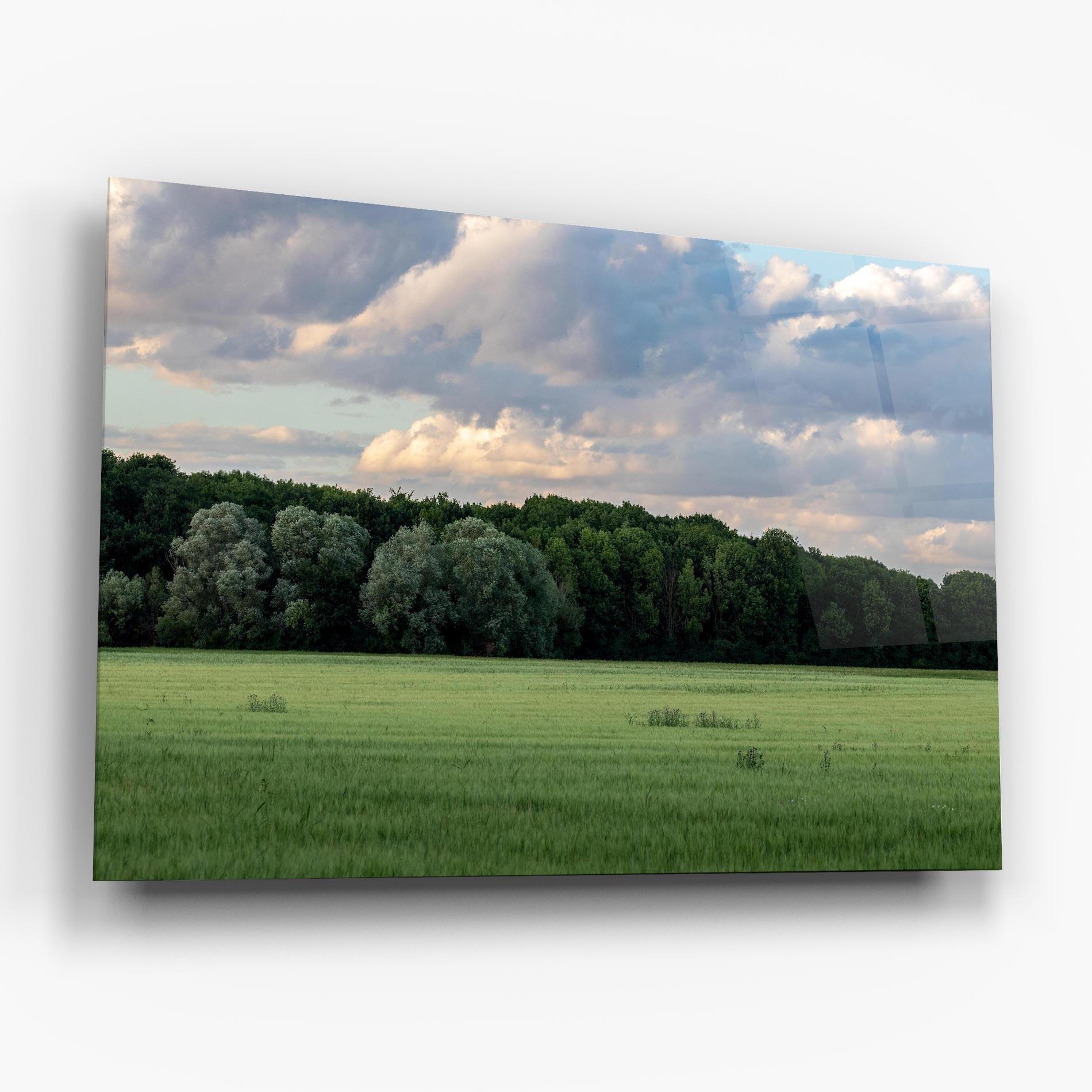 Стъклена картина Forest Field mockup 6