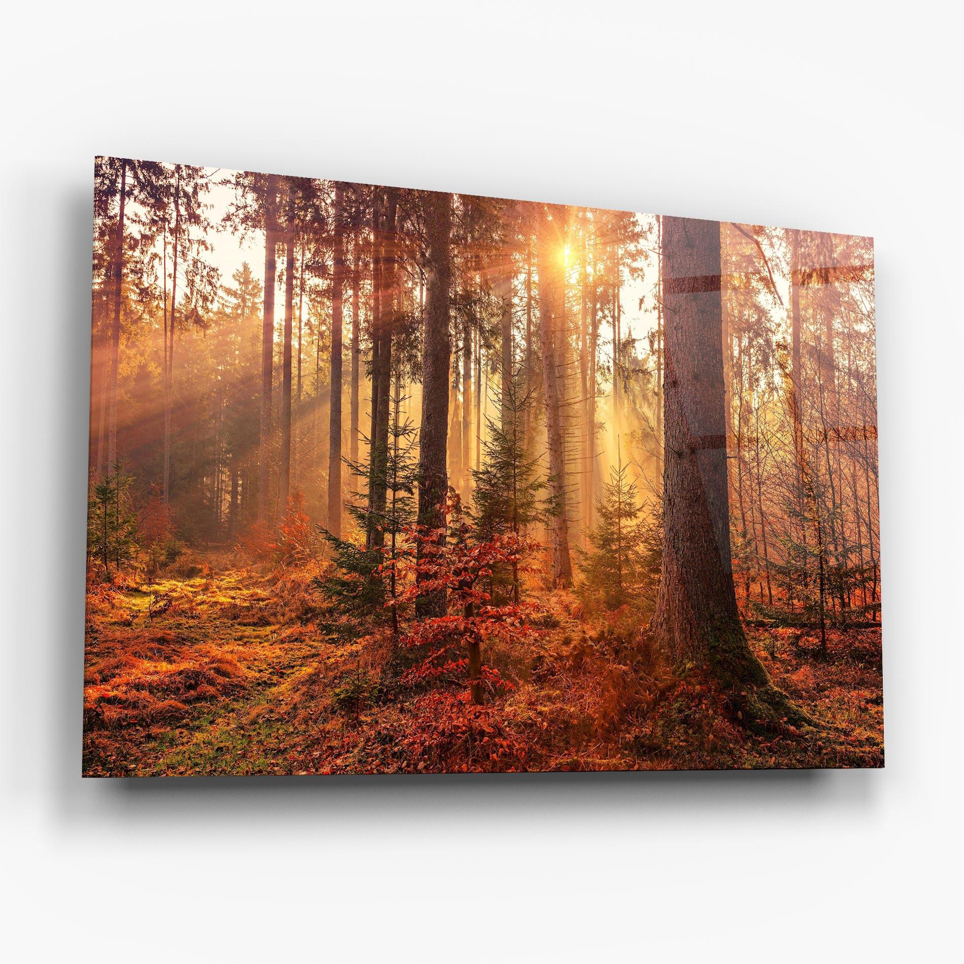 Стъклена картина Orange Light Forest mockup 6