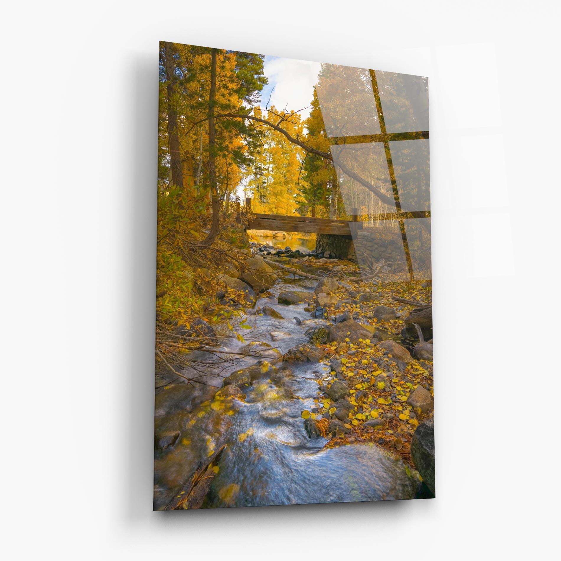 Стъклена картина Yellow View Forest mockup 6