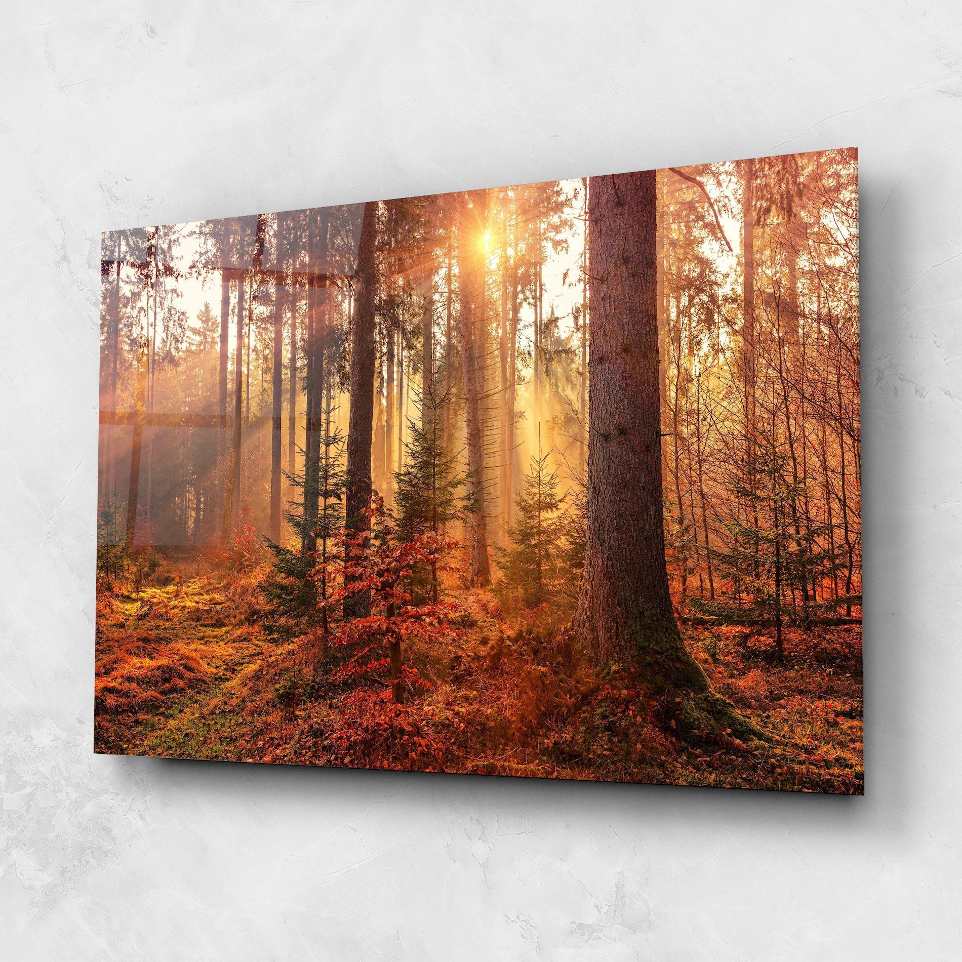 Стъклена картина Orange Light Forest mockup 1