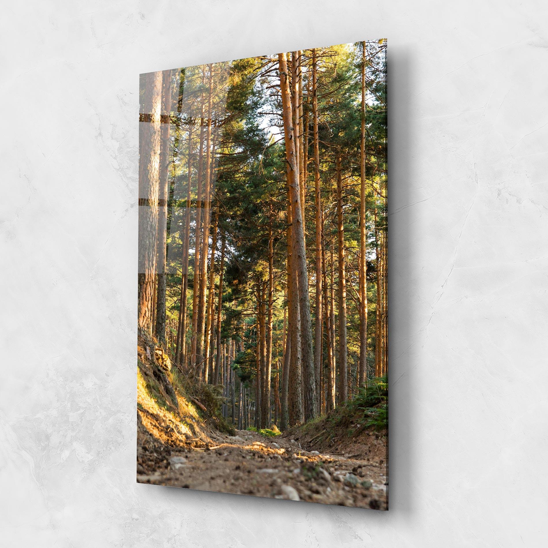 Стъклена картина Big Trees Forest mockup 1