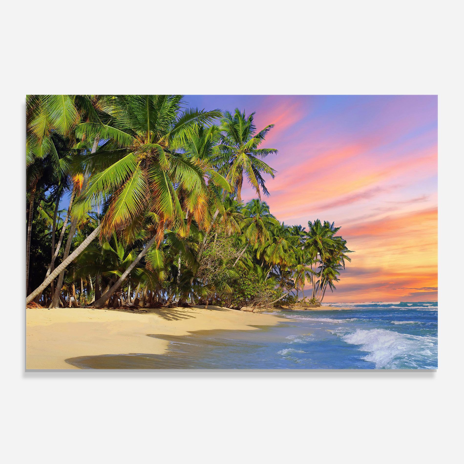 Coconut Tree Sunset mockup 0