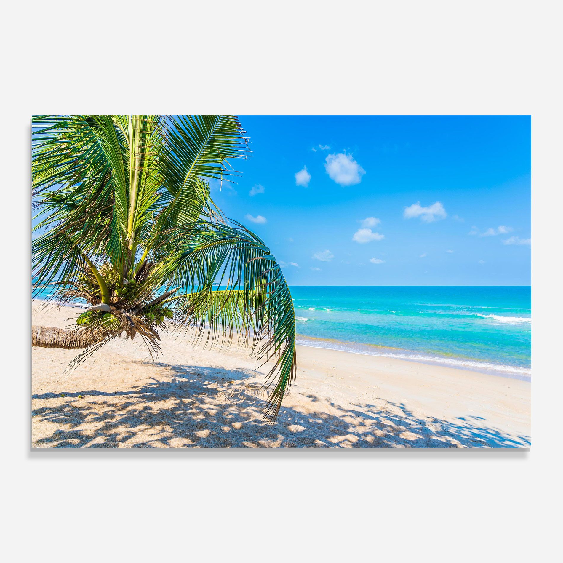 Tropical Beach View mockup 0