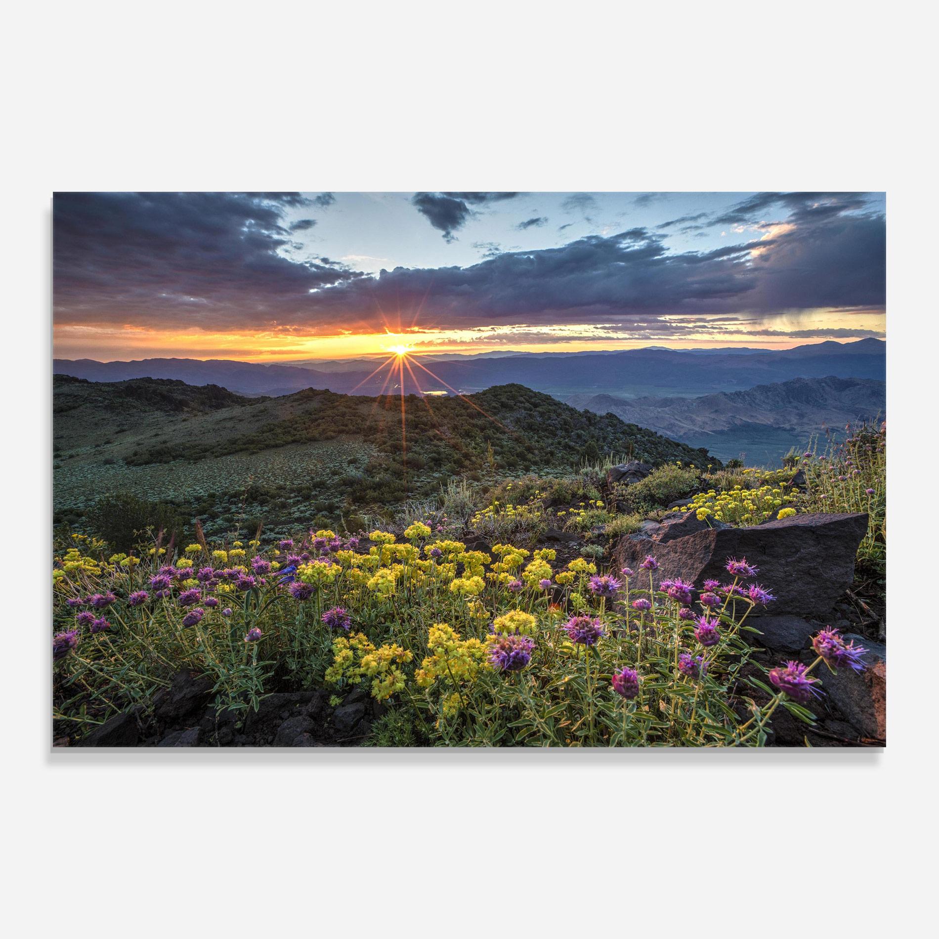 Стъклена картина Beautiful Spring View mockup 0