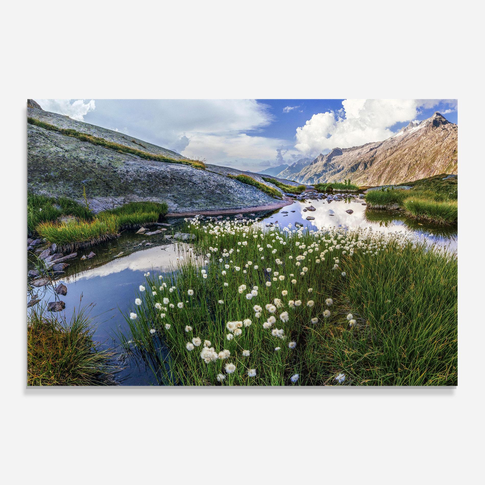 Стъклена картина Lake Spring View mockup 0