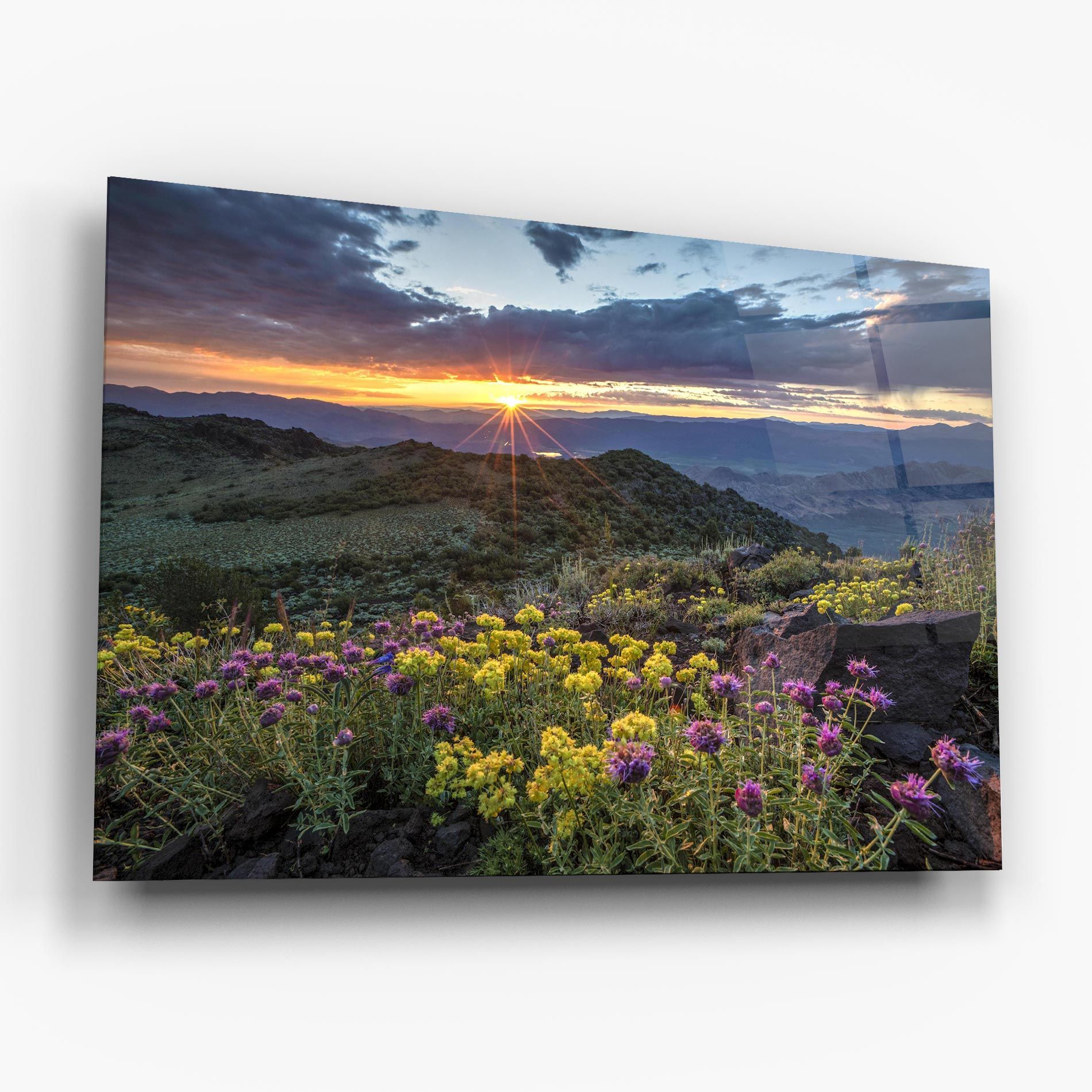 Beautiful Spring View mockup 6