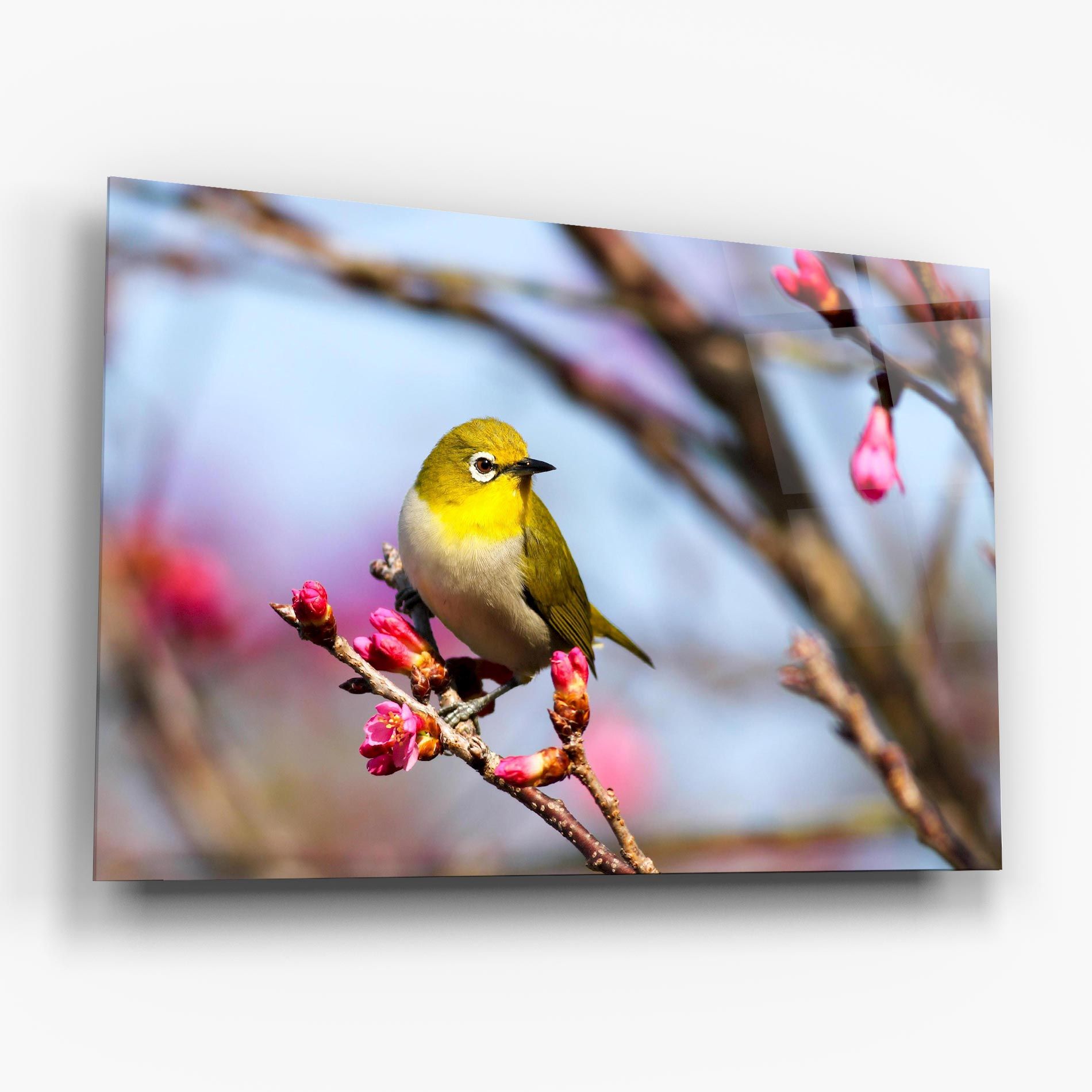 Cute Pink Flower Buds mockup 6