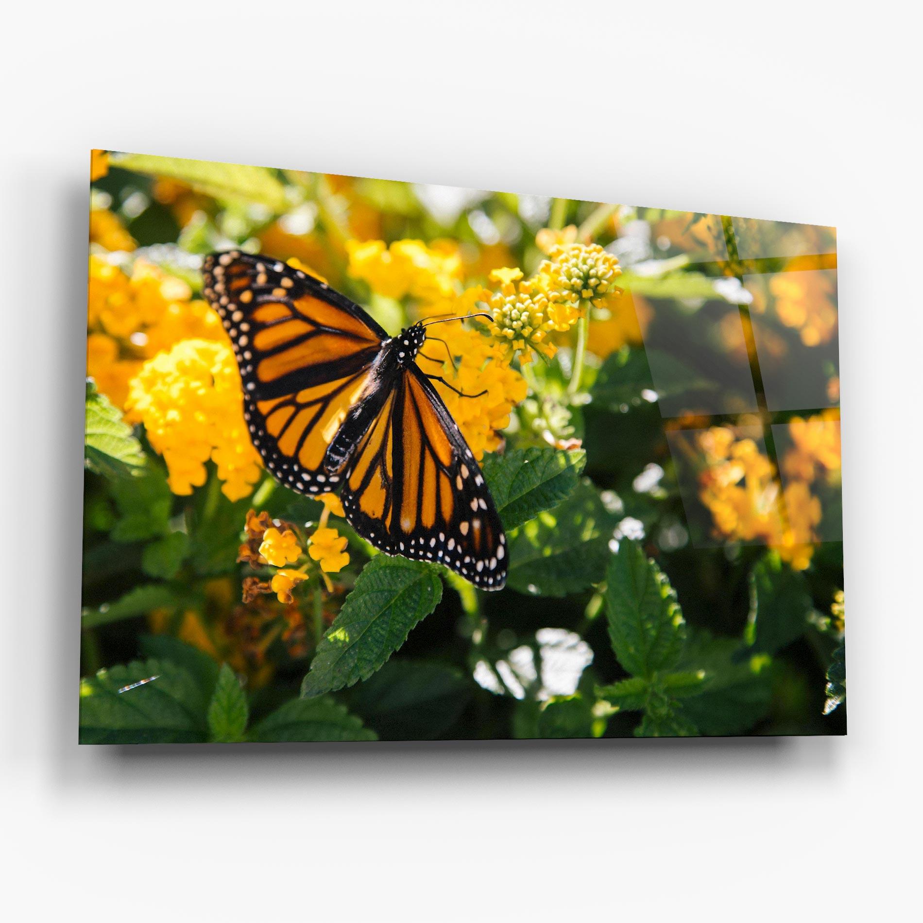 Стъклена картина Orange Spring Butterfly mockup 6