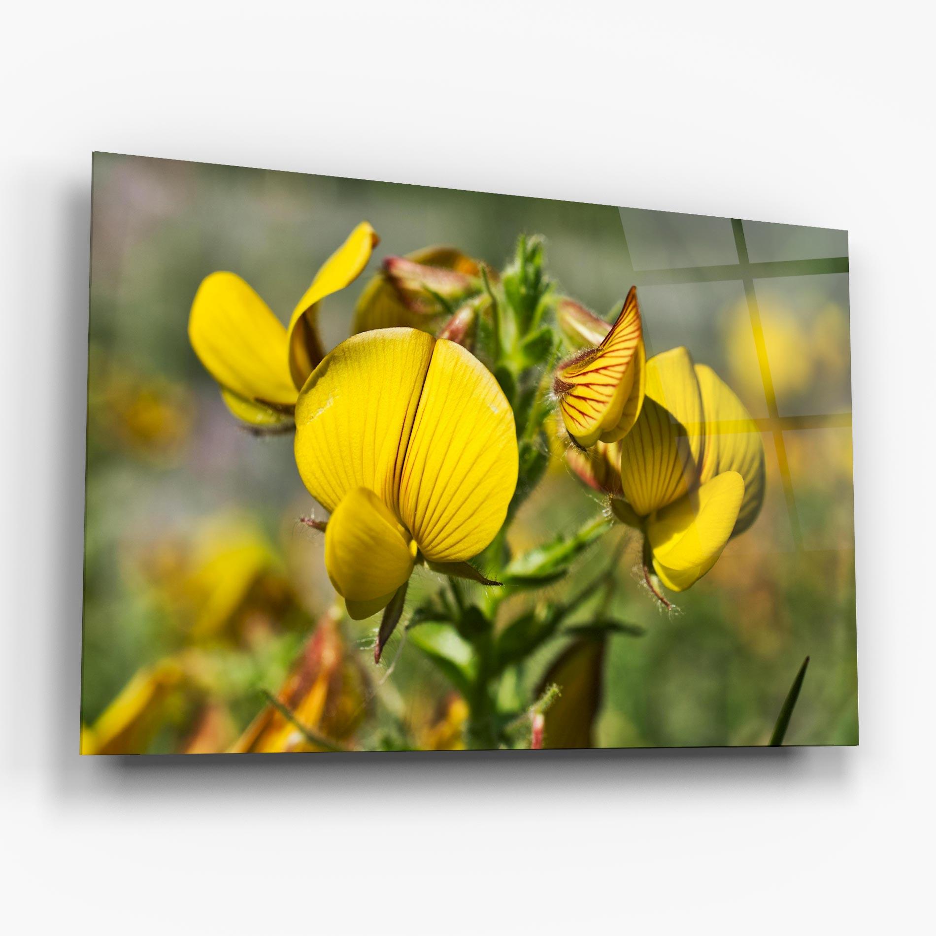 Стъклена картина Pretty Spring Yellow Flower mockup 6