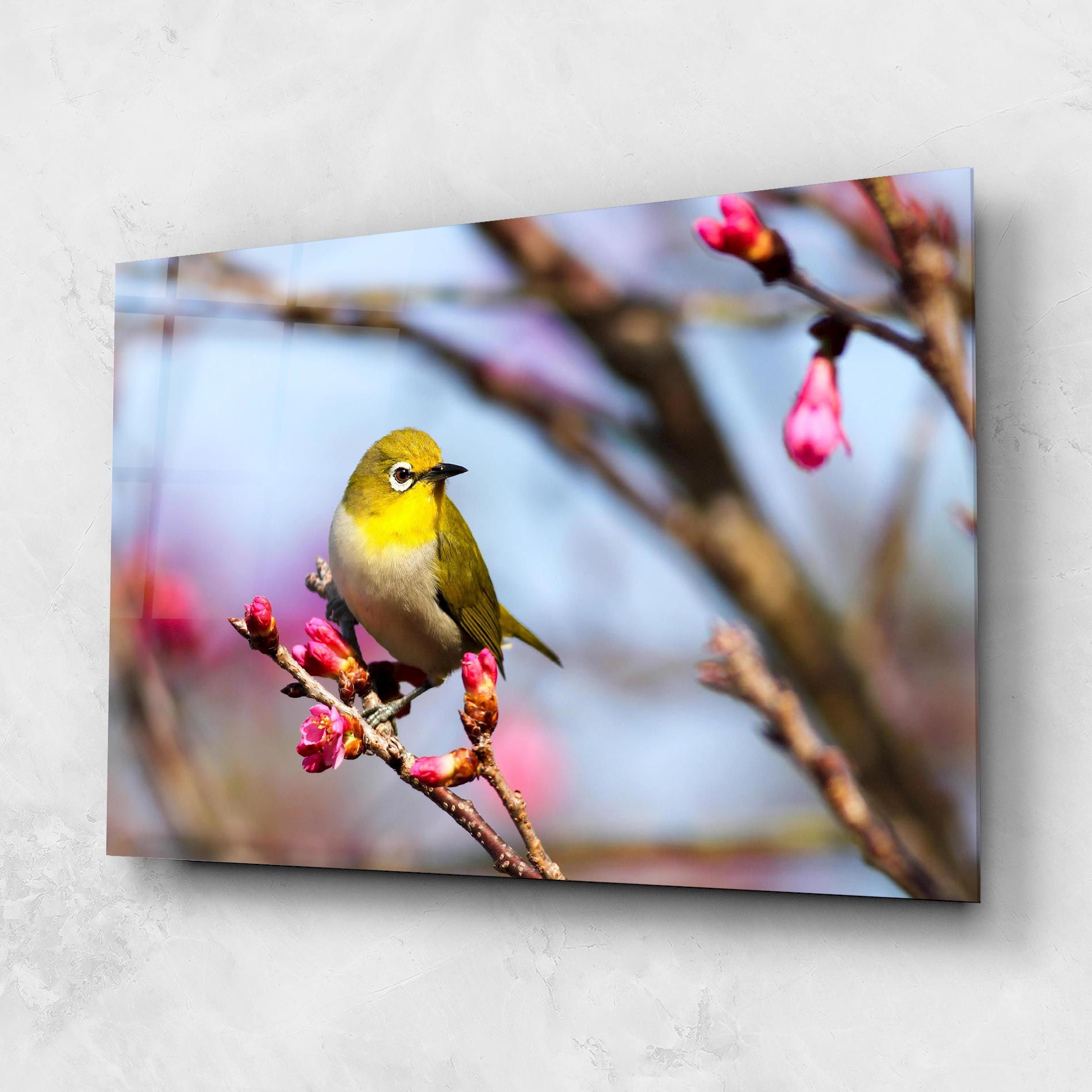 Cute Pink Flower Buds mockup 1