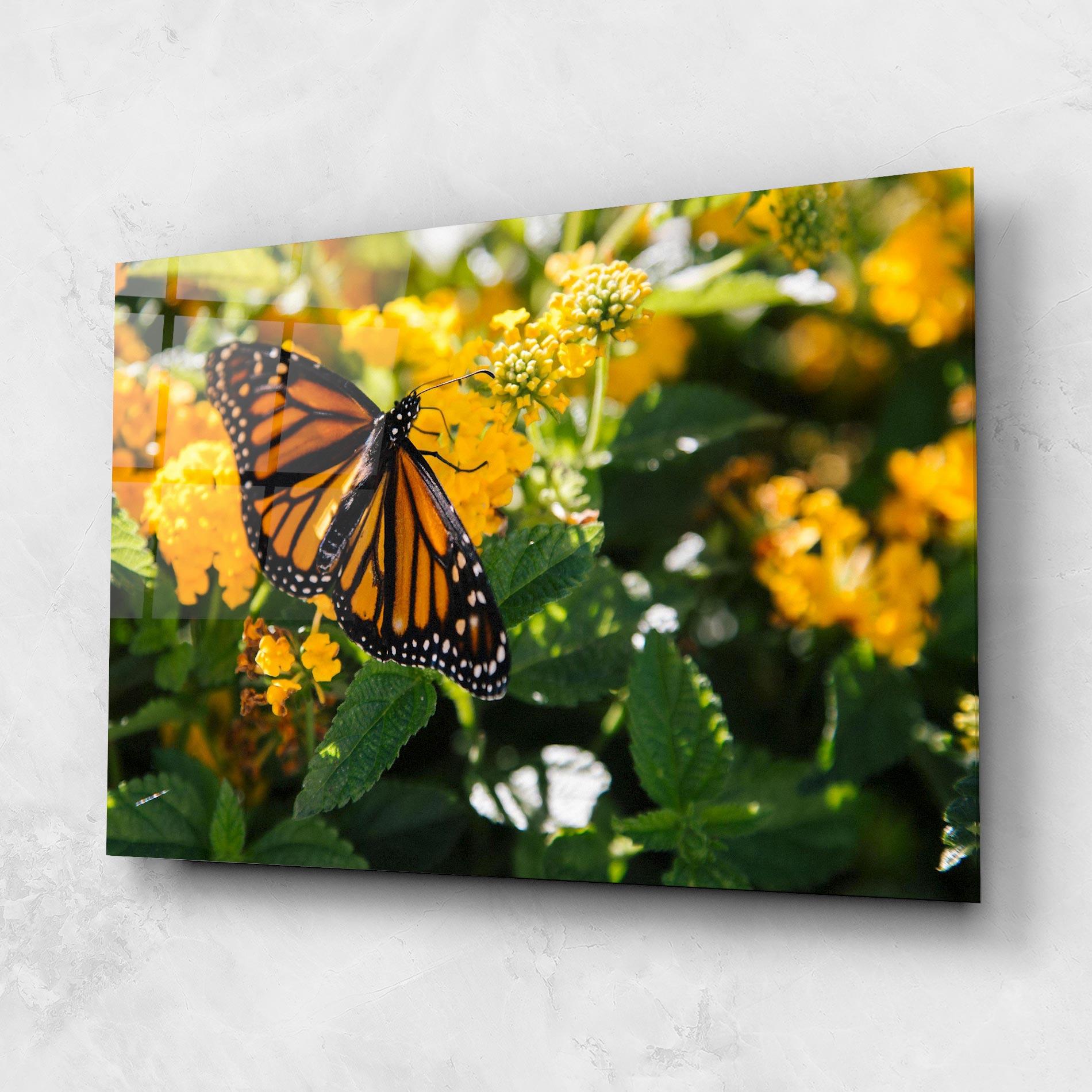 Стъклена картина Orange Spring Butterfly mockup 1
